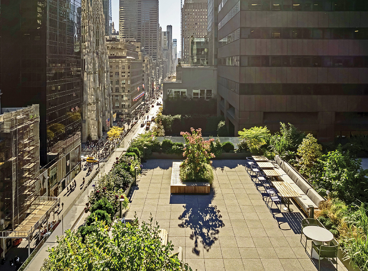 A view of a city from a high rise.