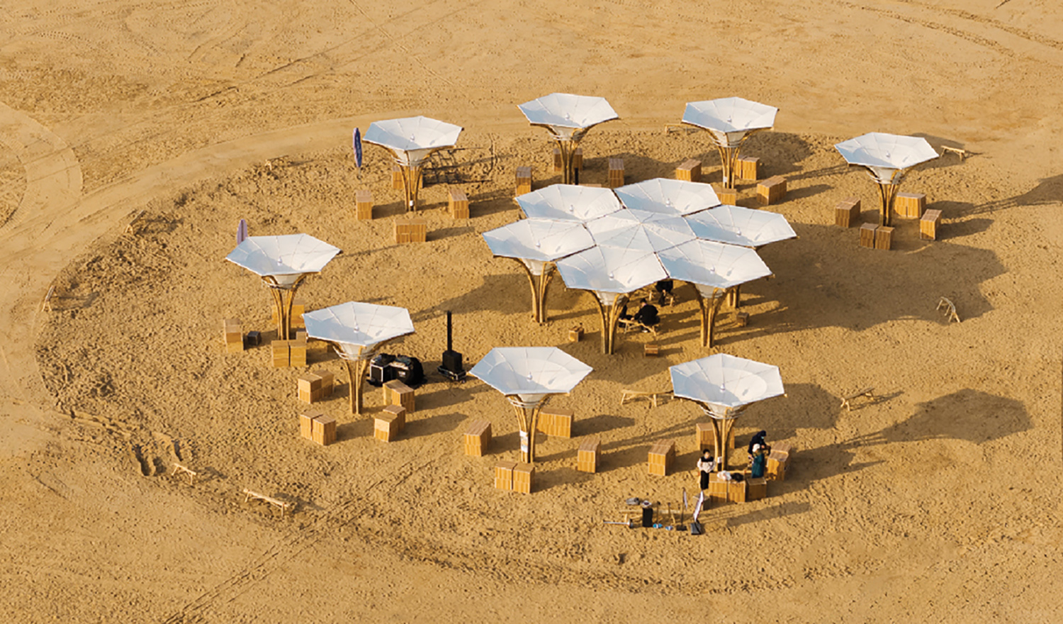 view of canopies