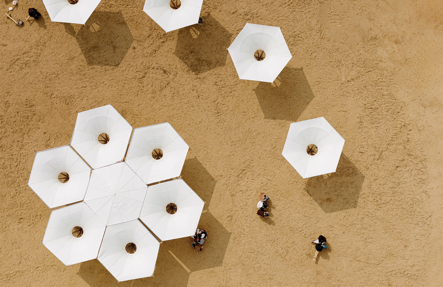 aerial view of the canopies