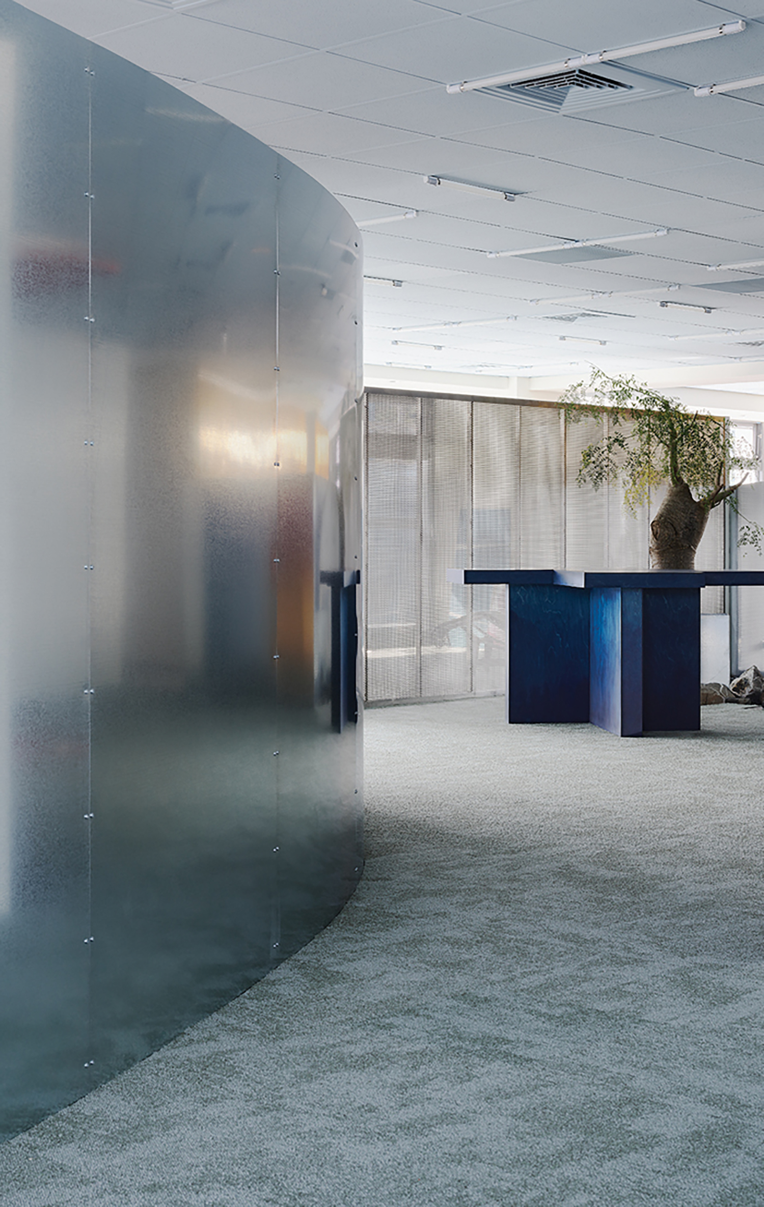 A room with a plant in the middle.