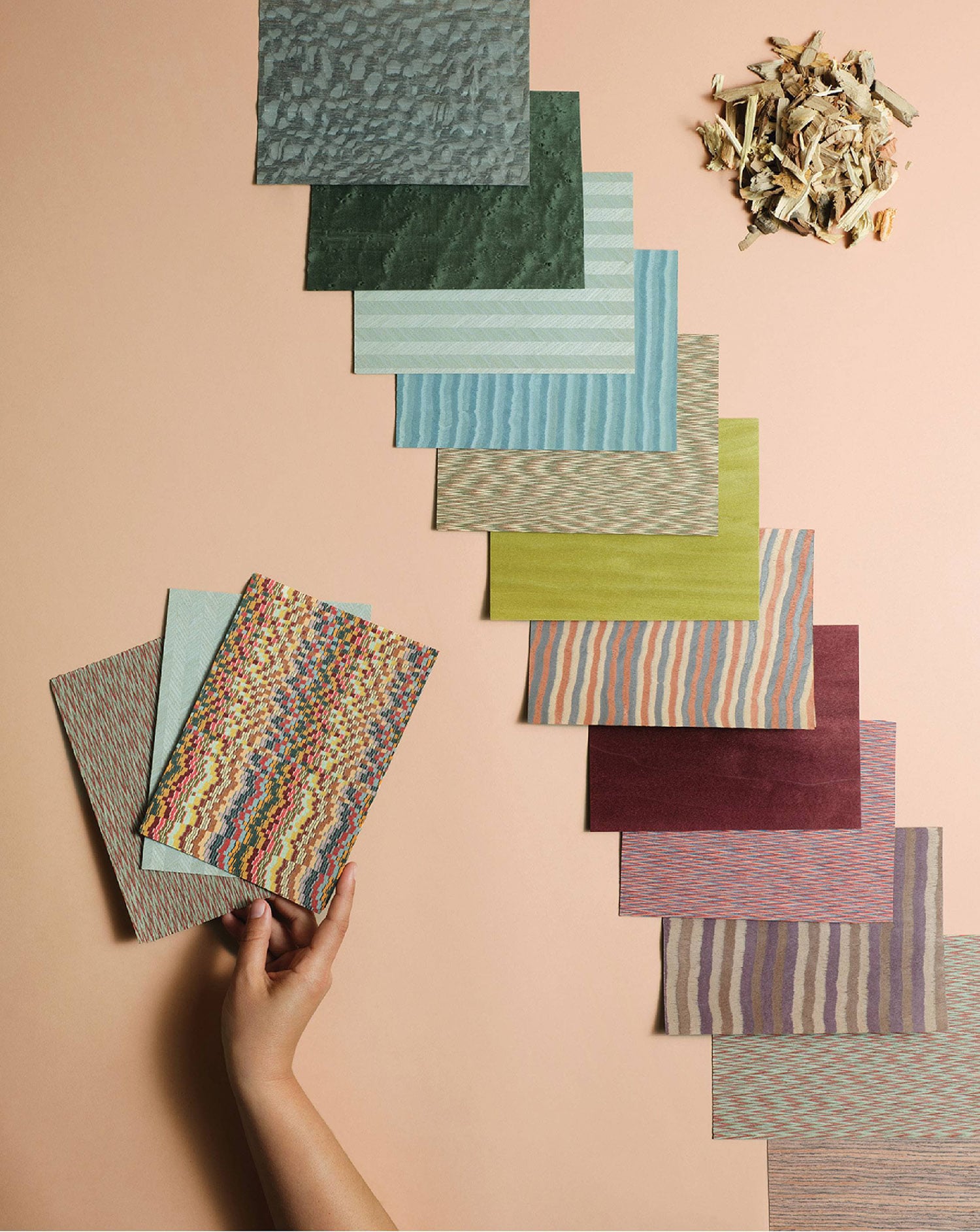 A person holding a piece of paper with different colors.