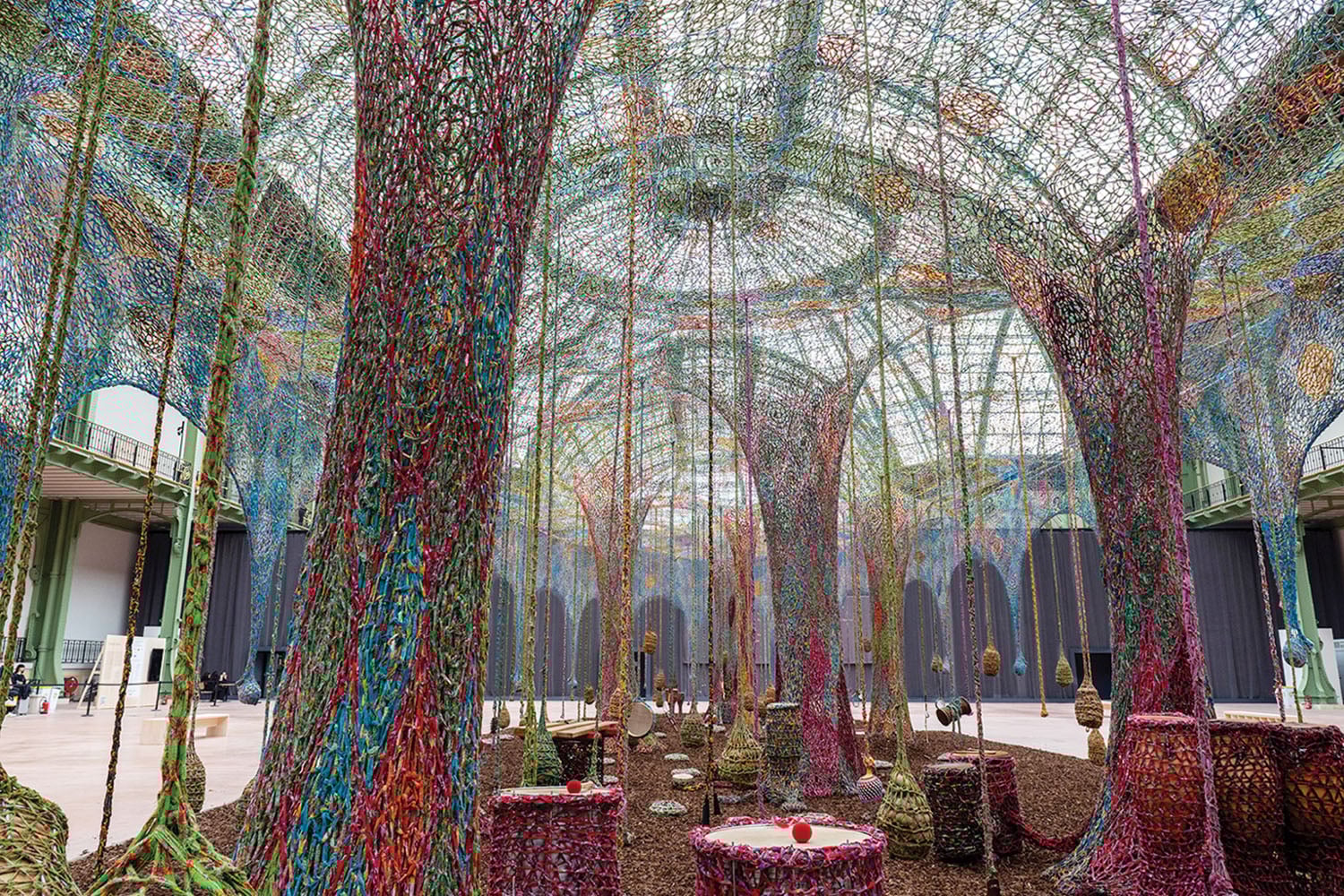 The inside of the glass house in the botanical garden.