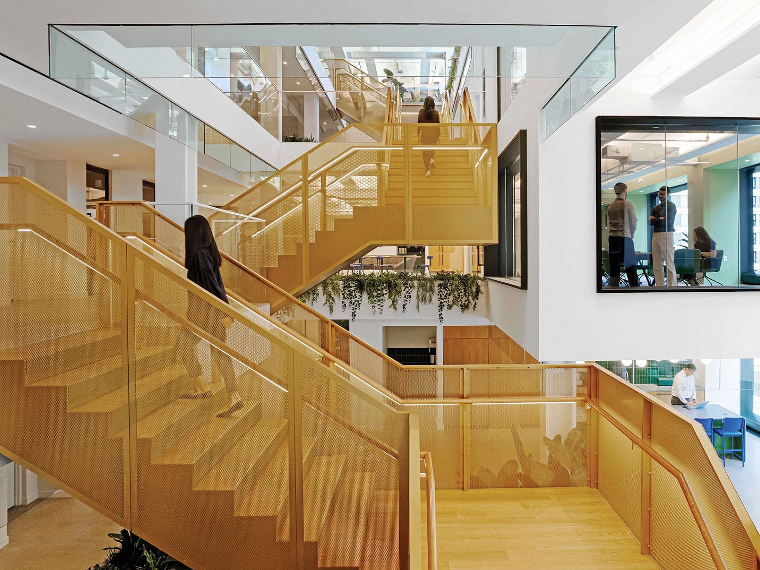 A staircase with a glass railing and a plant.