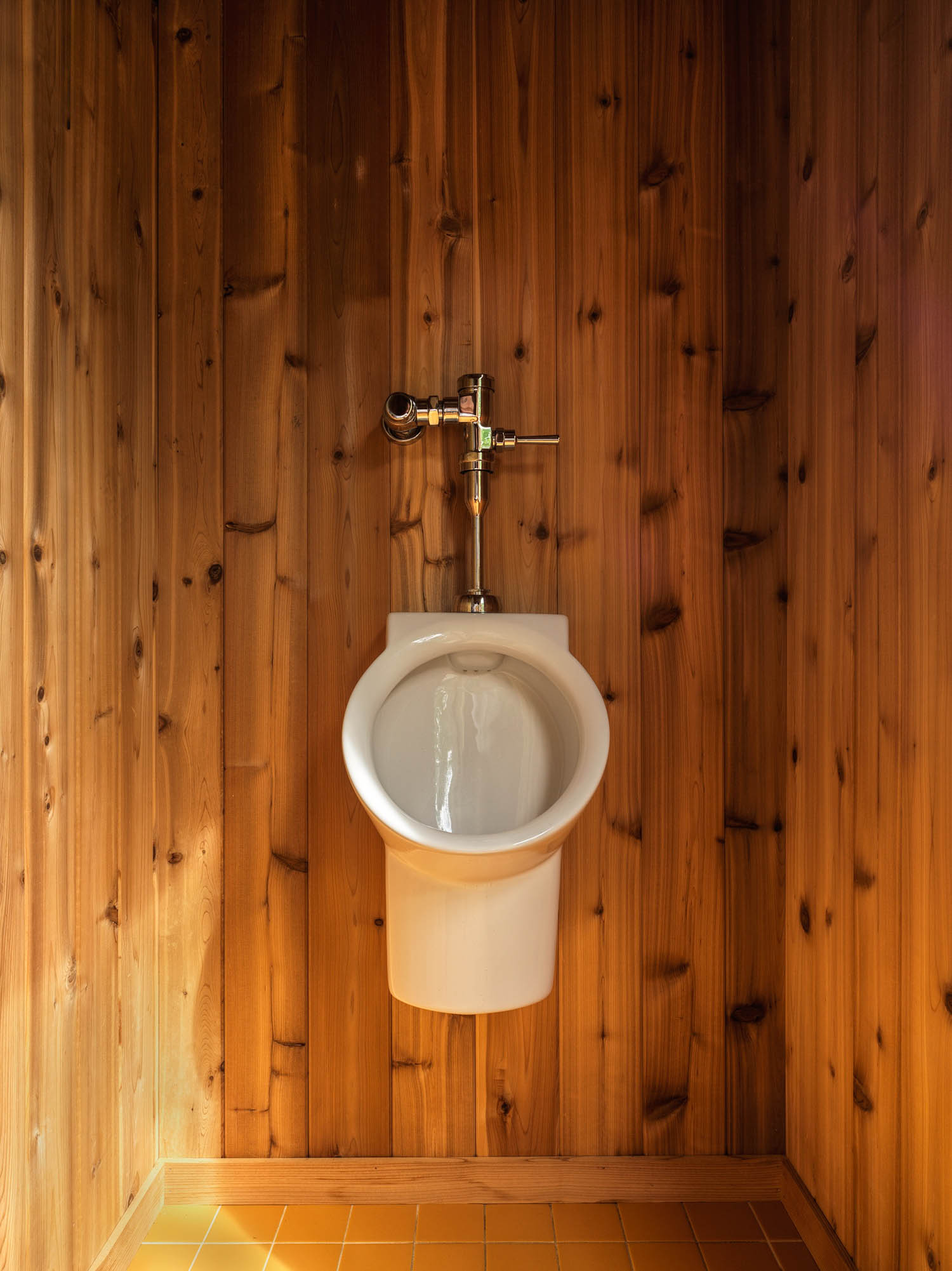 bathroom against wooden wall