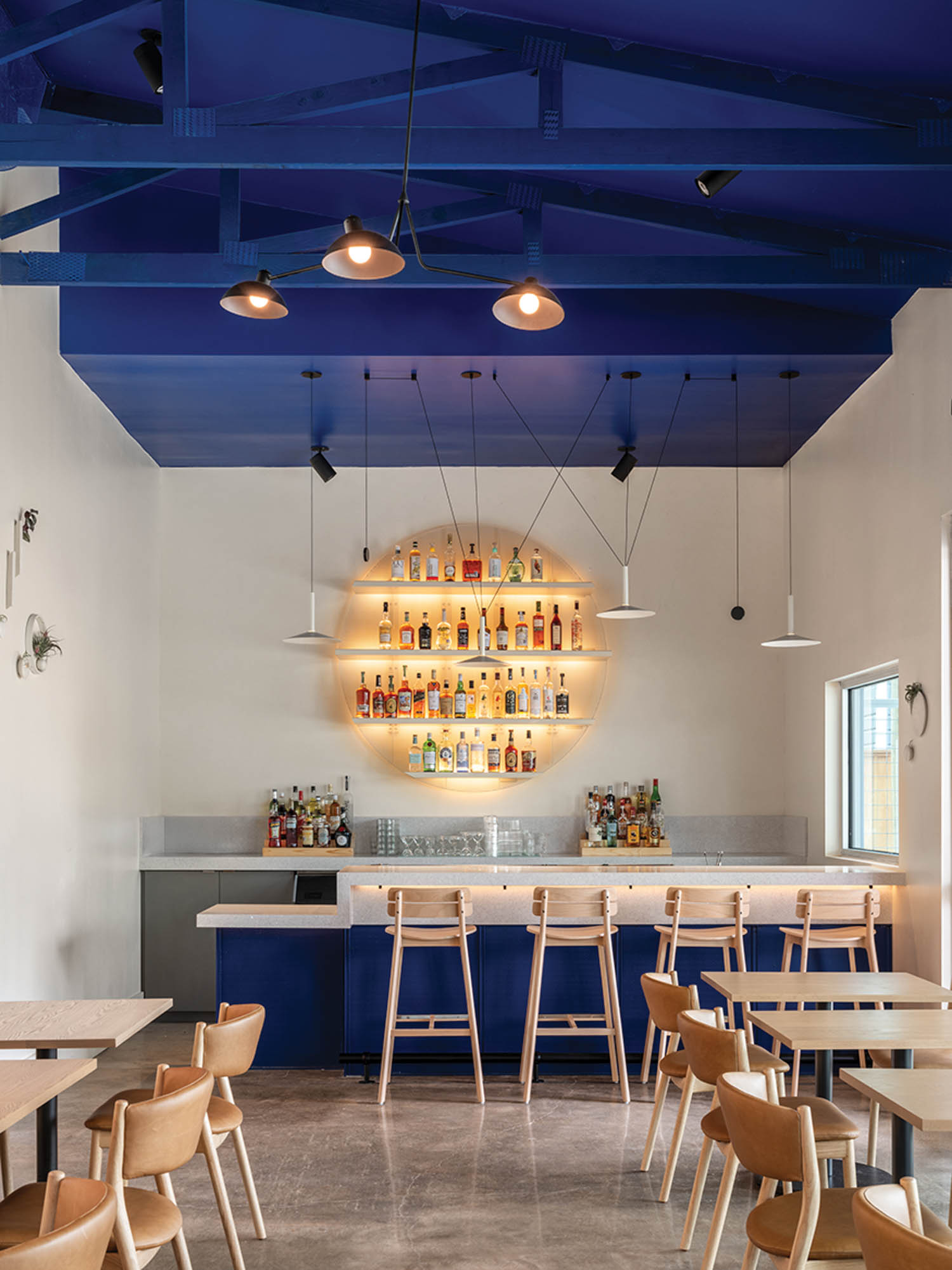 dark blue colors define the bar