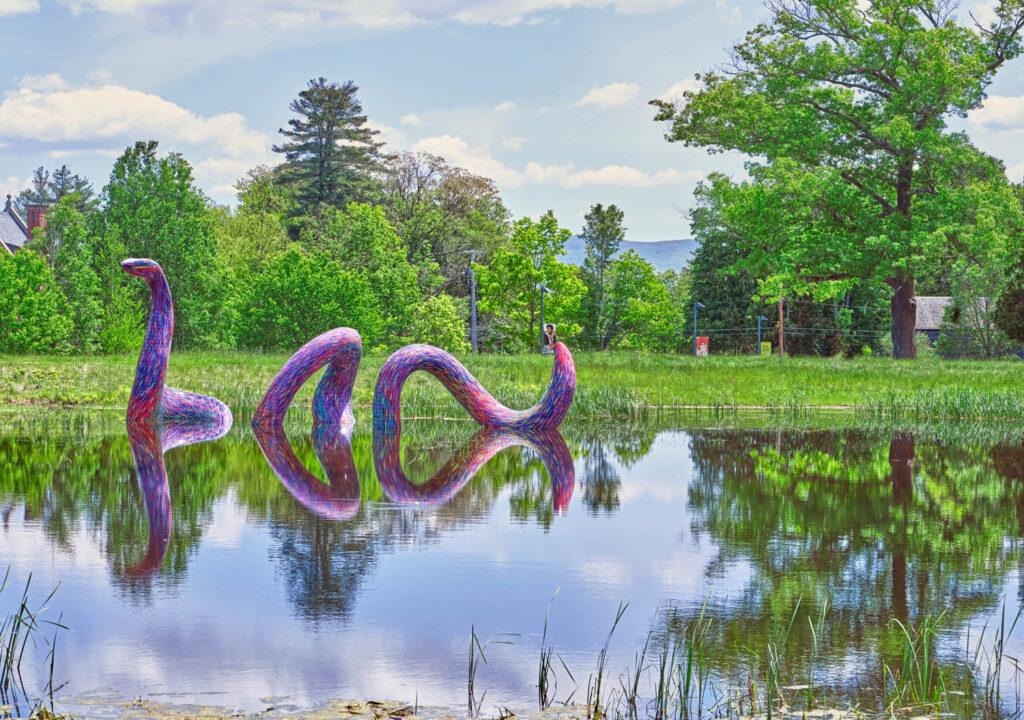 rainbow colored serpent in the water