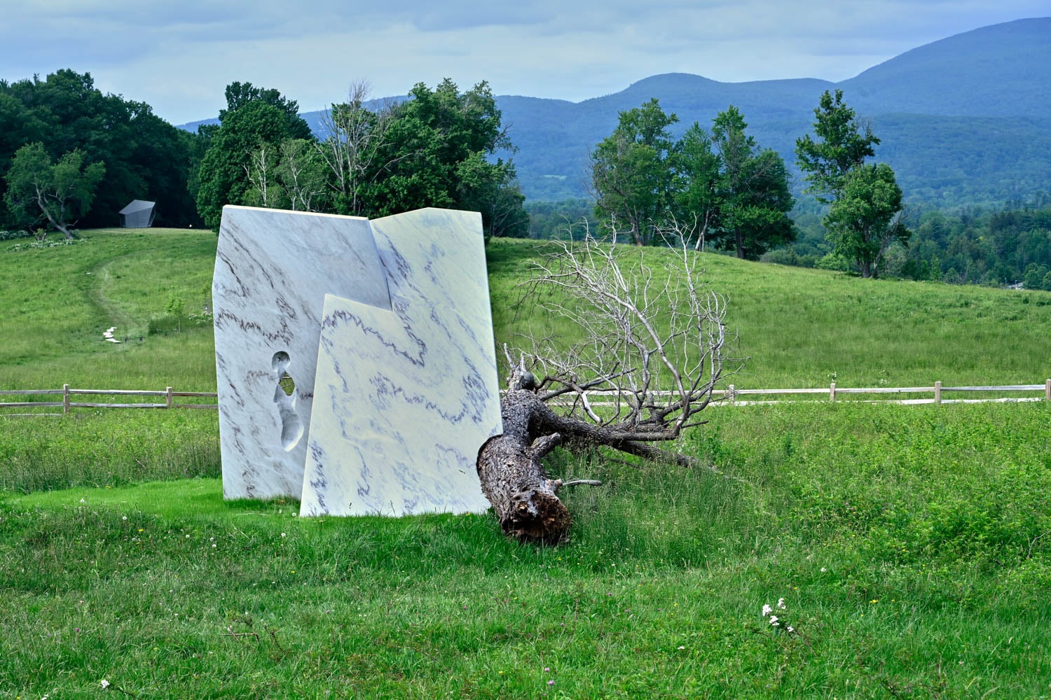 wooden sculpture next to marble sculpture in grassy field