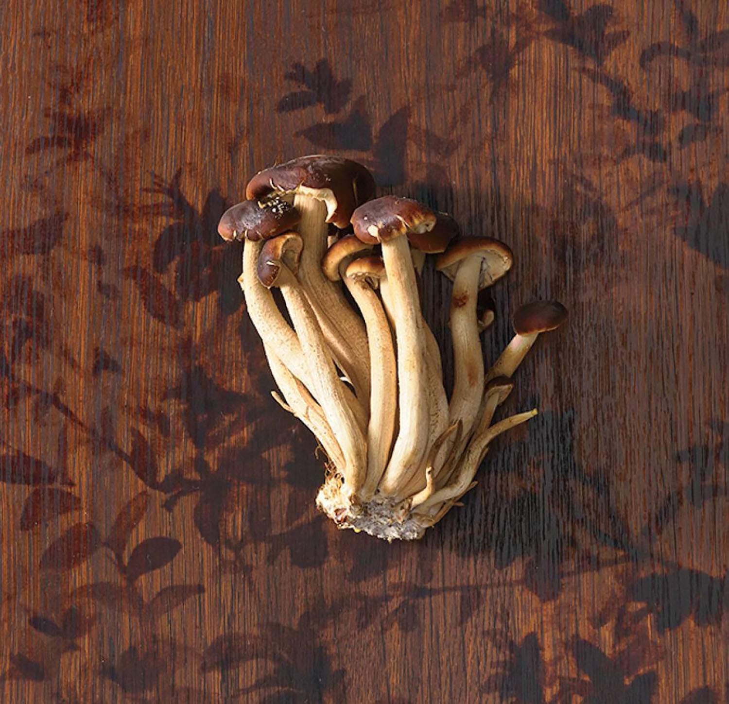 A bunch of mushrooms on a wooden surface.