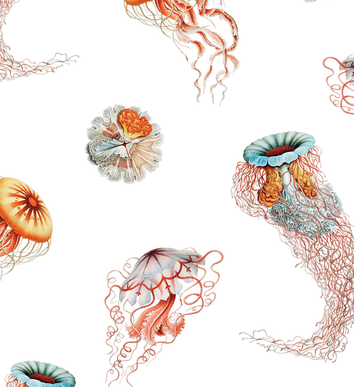 Jellyfish fabric by the yard on spoonflower - custom fabric.
