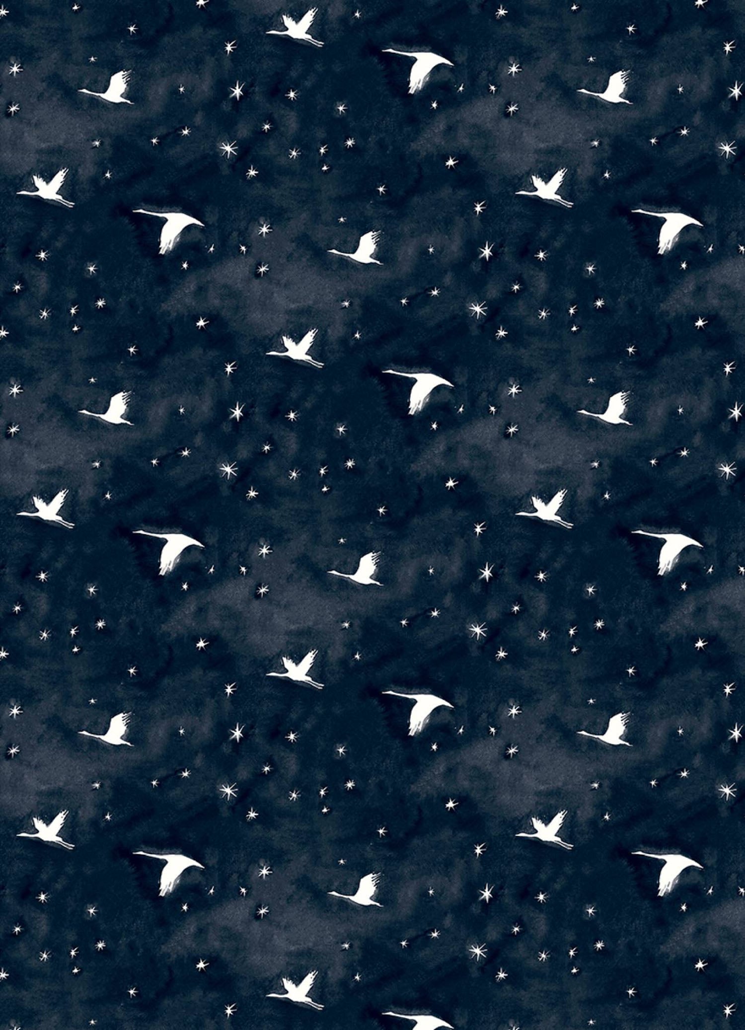 A black and white pattern with birds and stars.