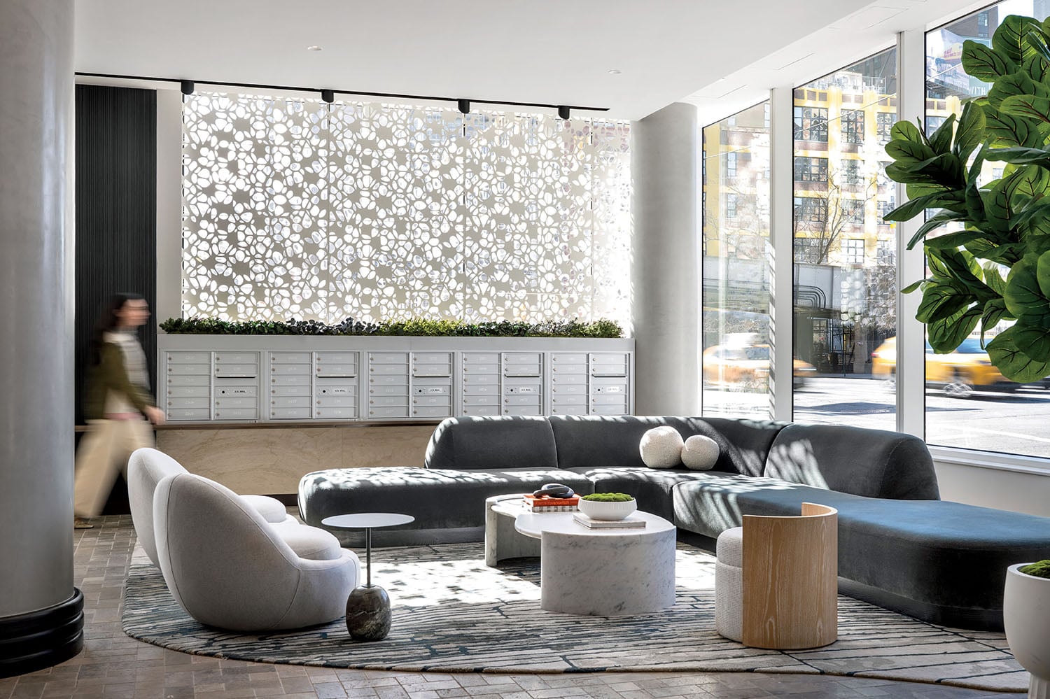 A living room with a large plant in the center.