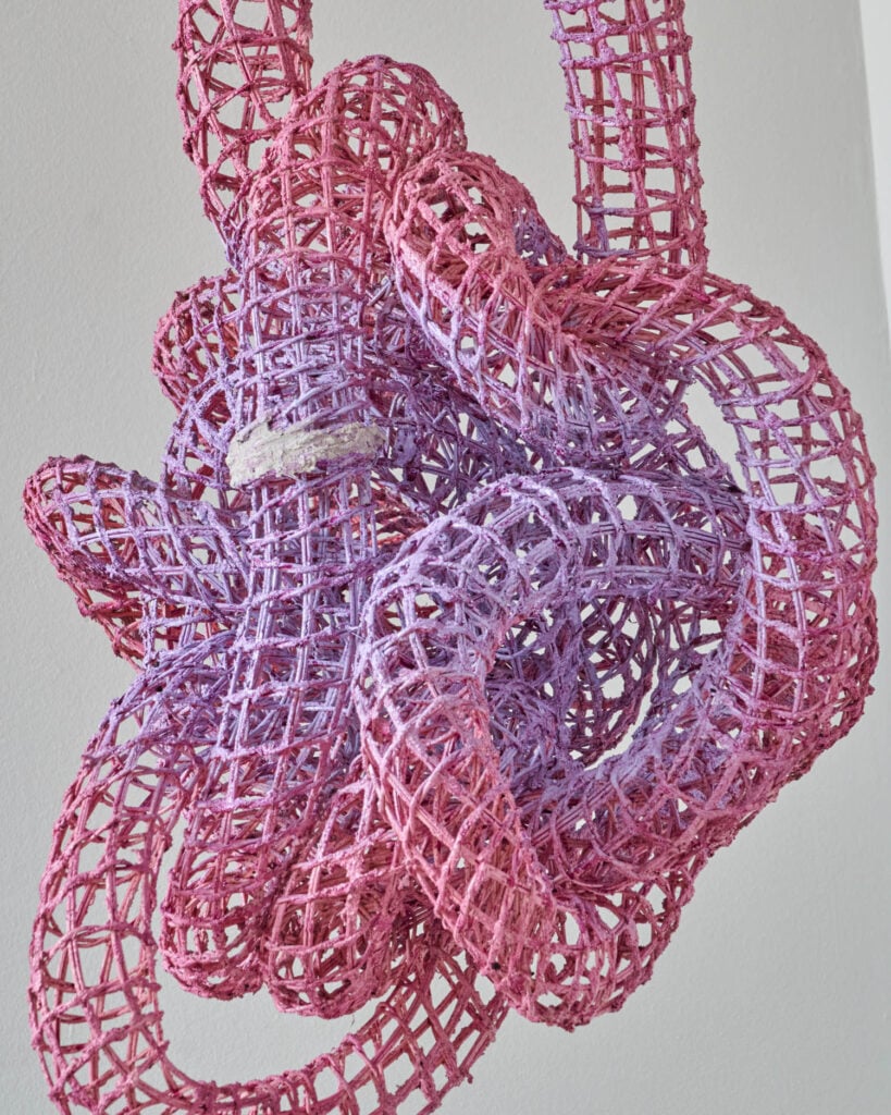 pink and purple woven ropes intertwined