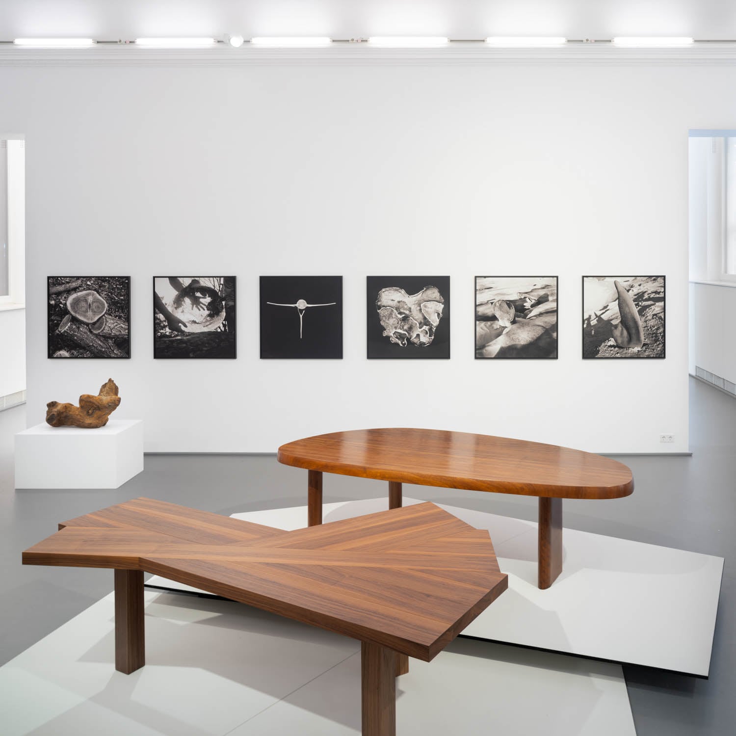 Charlotte Perrirand's Modernity Reimagined In This Exhibit