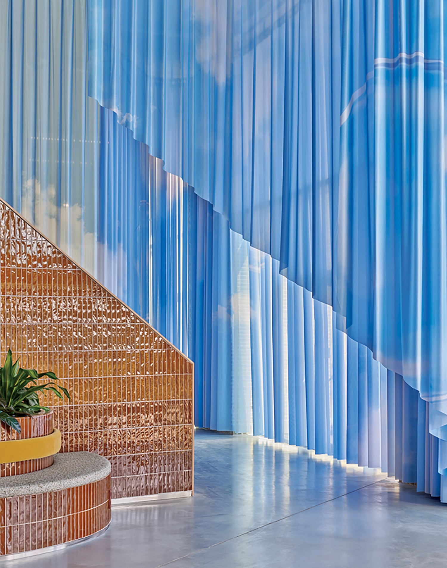 A staircase with a plant in a pot.