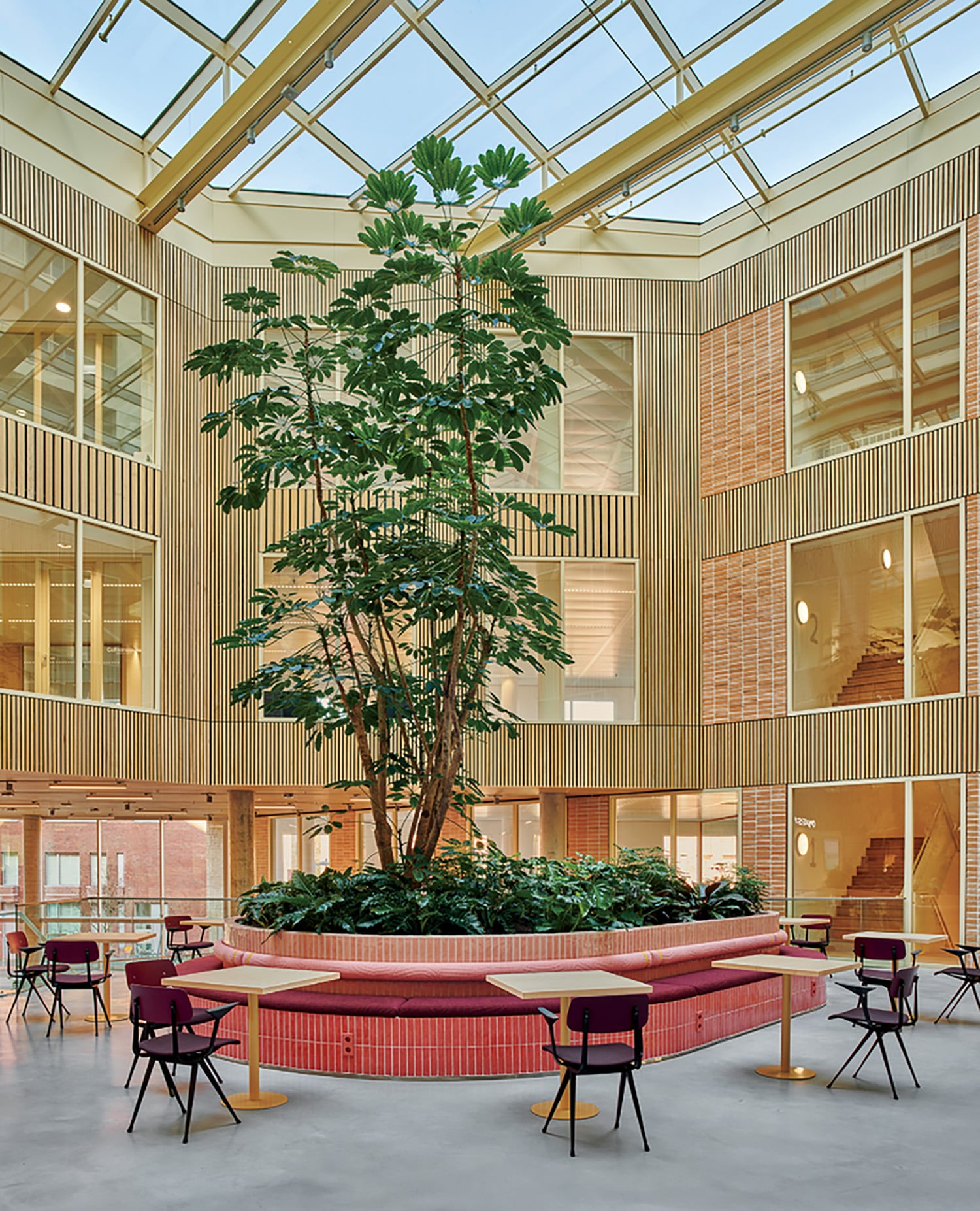 A tree in a building.