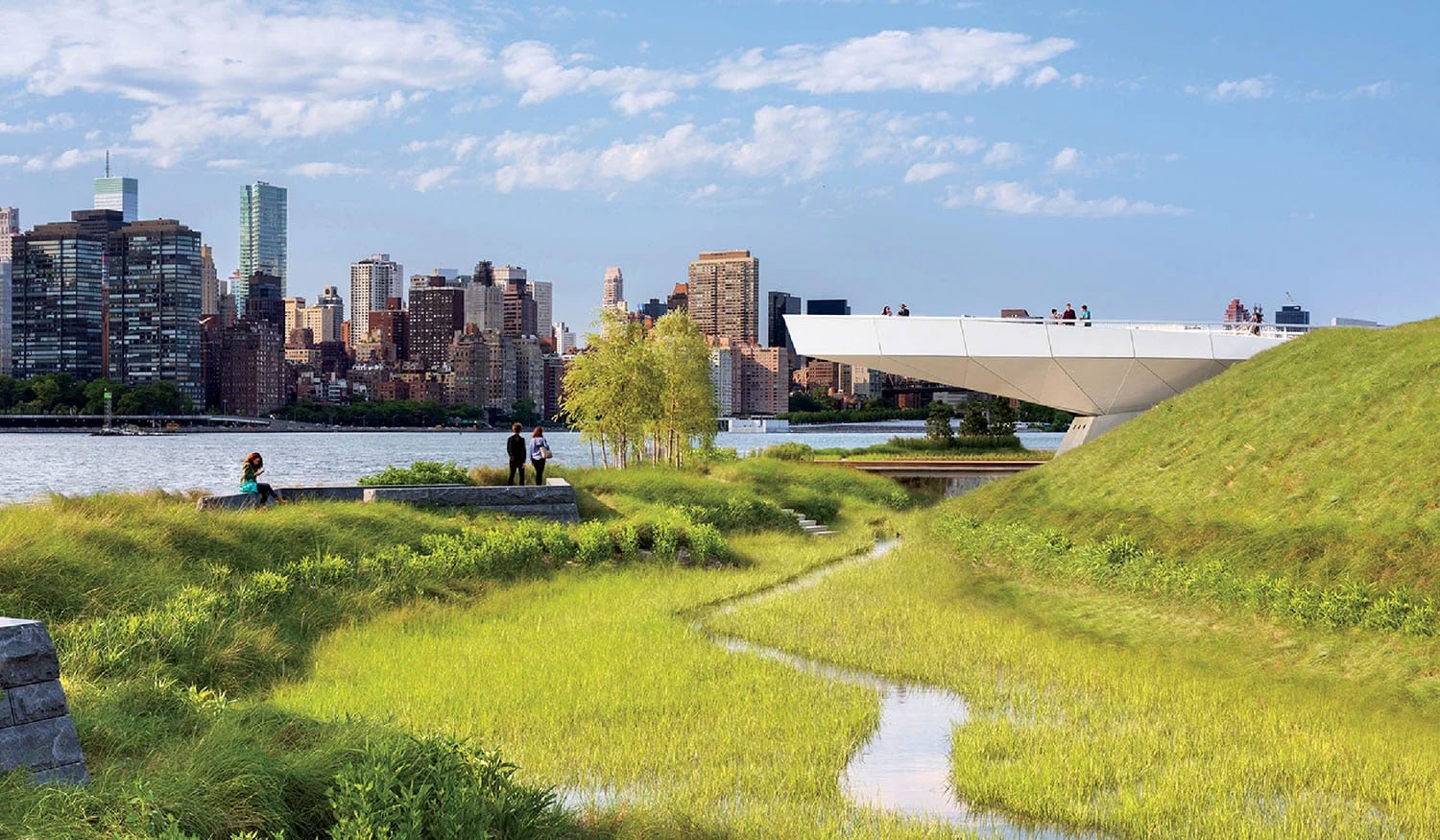 a grassy park with city views and minimalist building