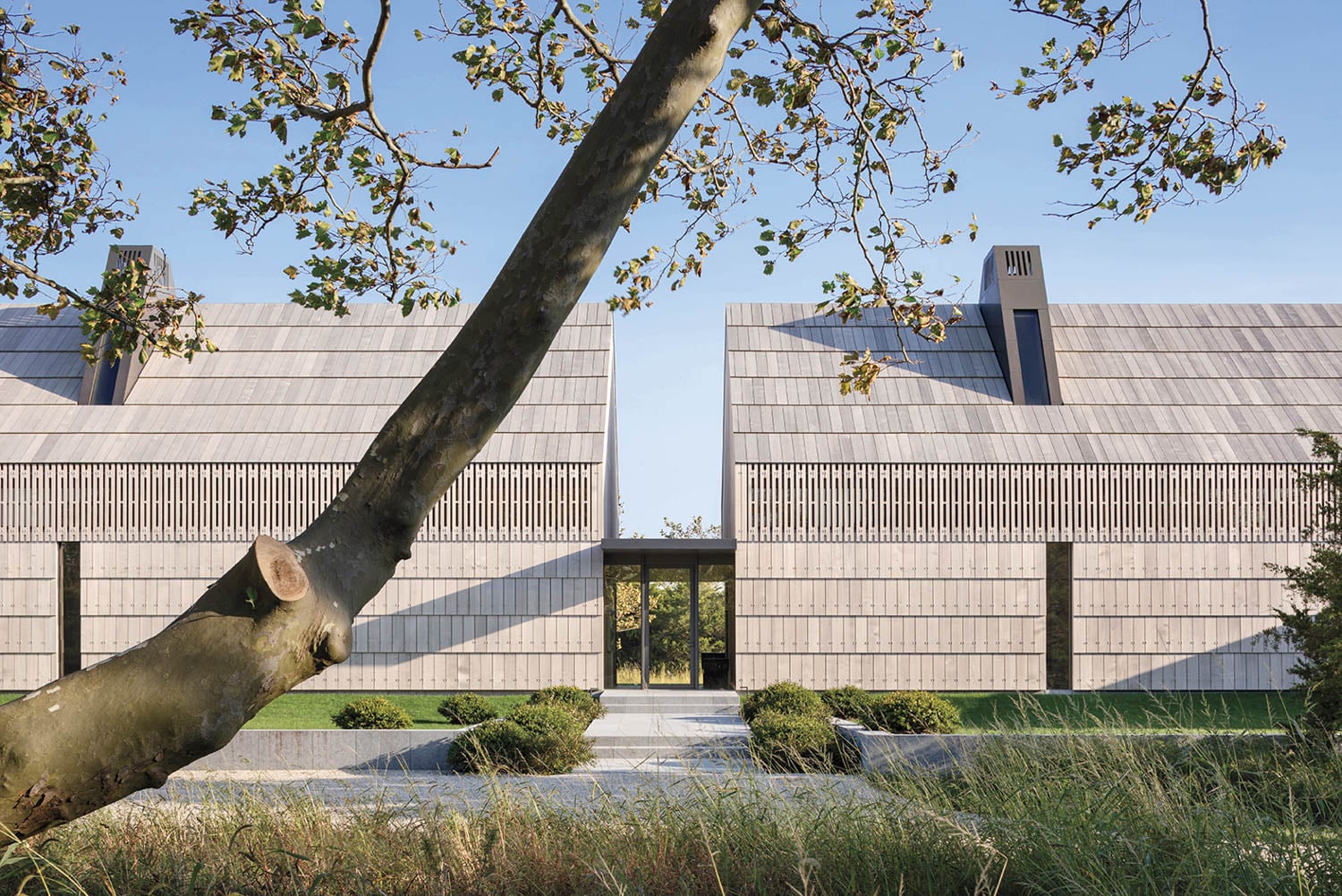 exterior facade of beach houses framed by trees