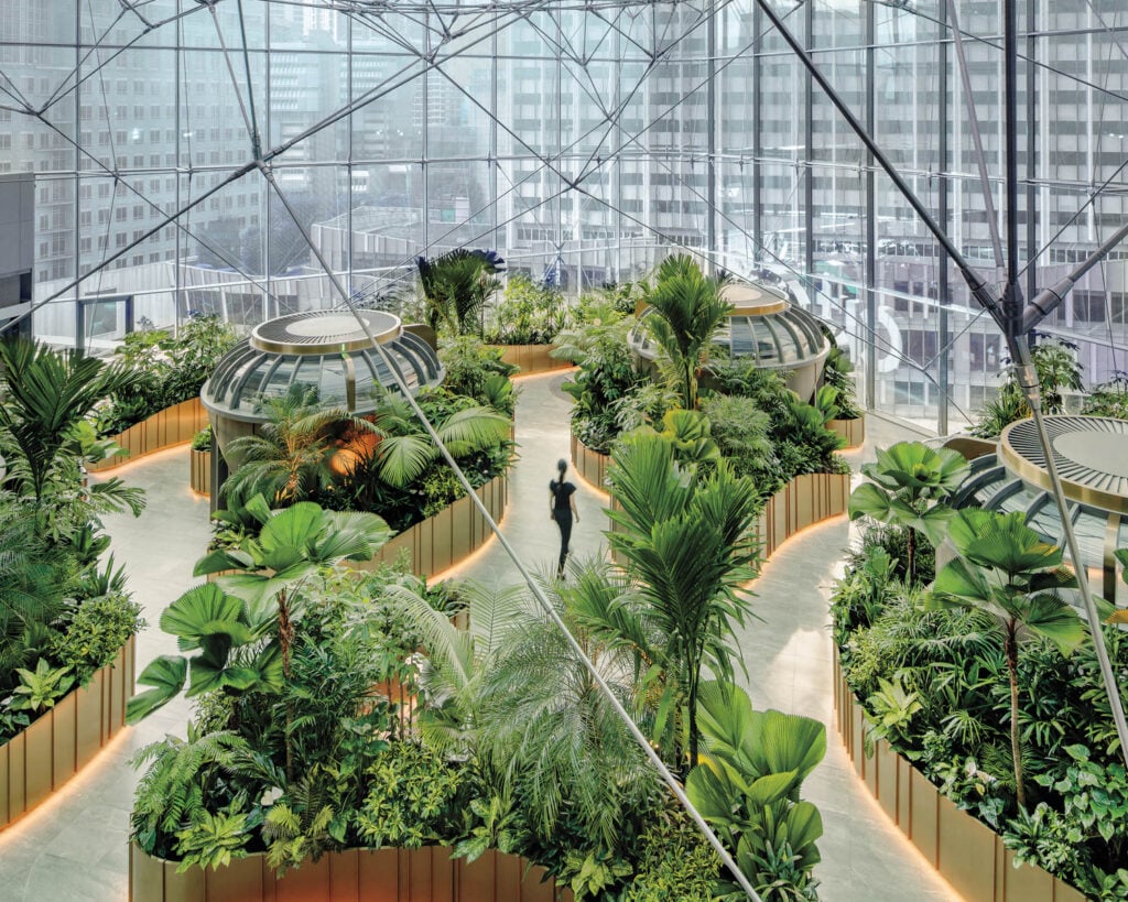 aerial view of garden