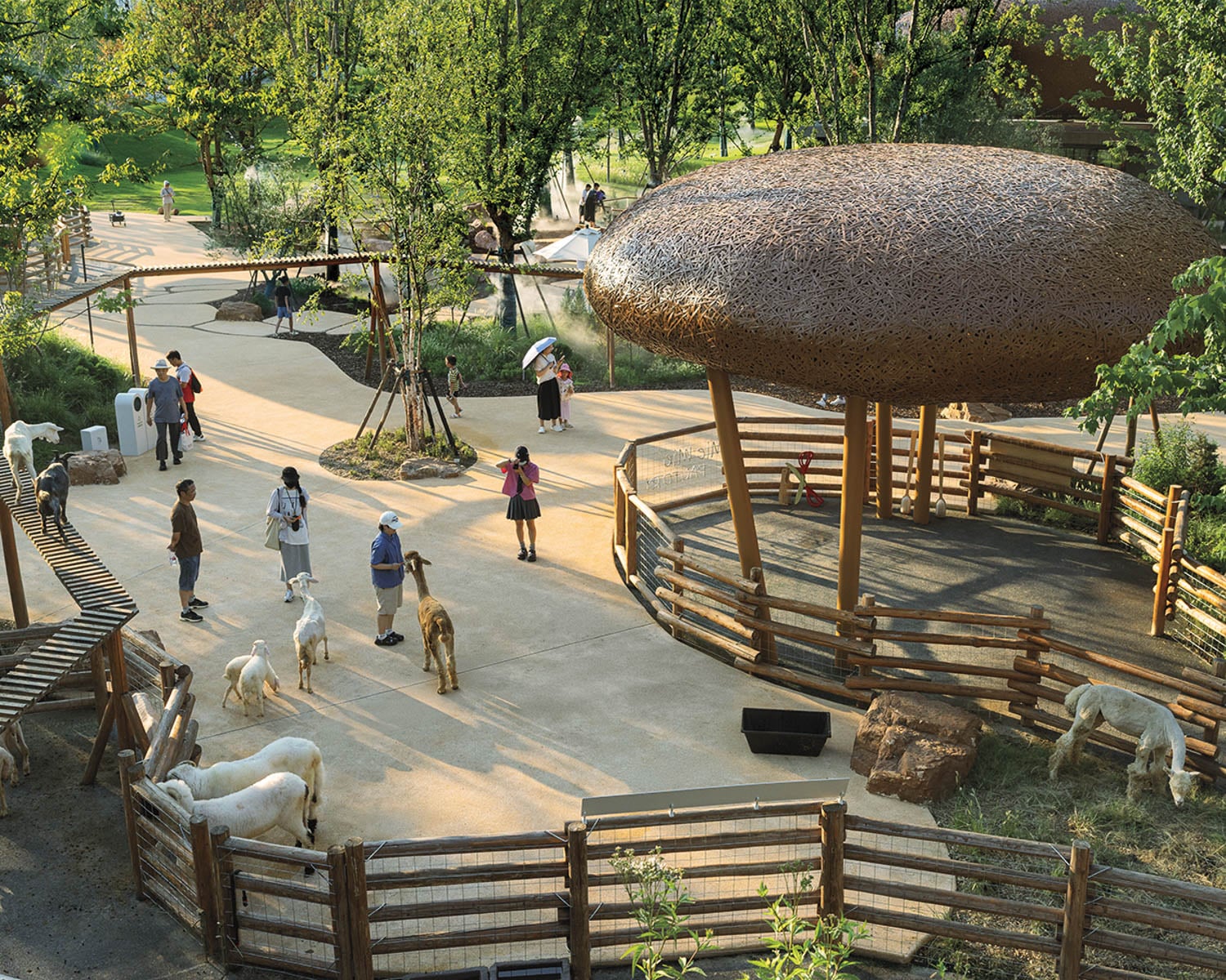 Park scene with people interacting with goats in a fenced area