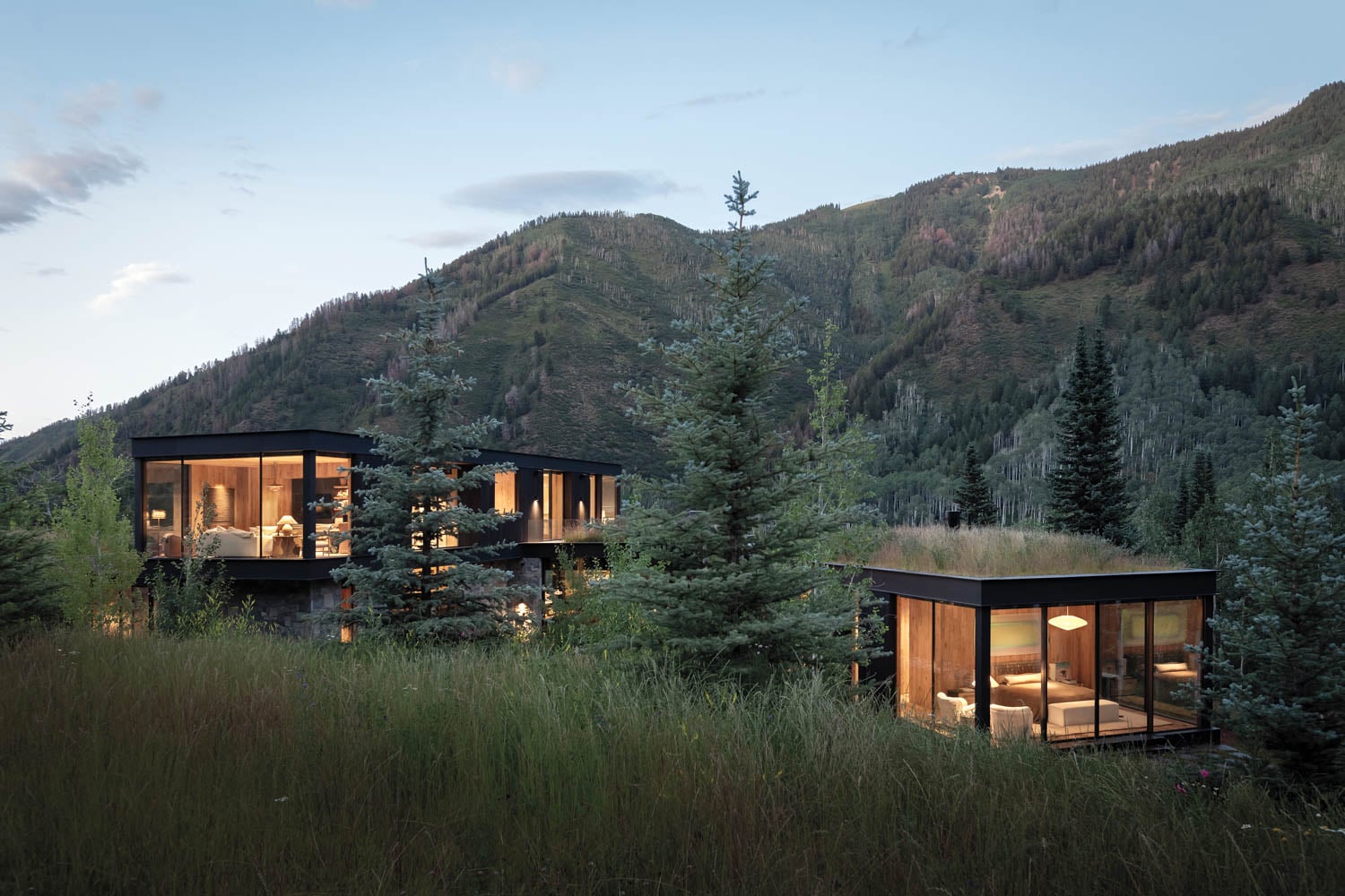 Modern glass houses with warm interior lights sit nestled among tall green trees and grassy fields