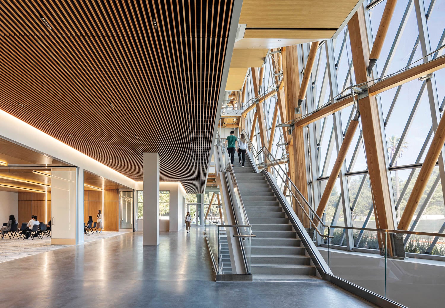Modern atrium with wooden ceilings and glass walls, featuring a wide staircase