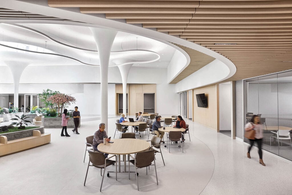 Modern lobby with a curved wooden ceiling, circular tables, and indoor plants