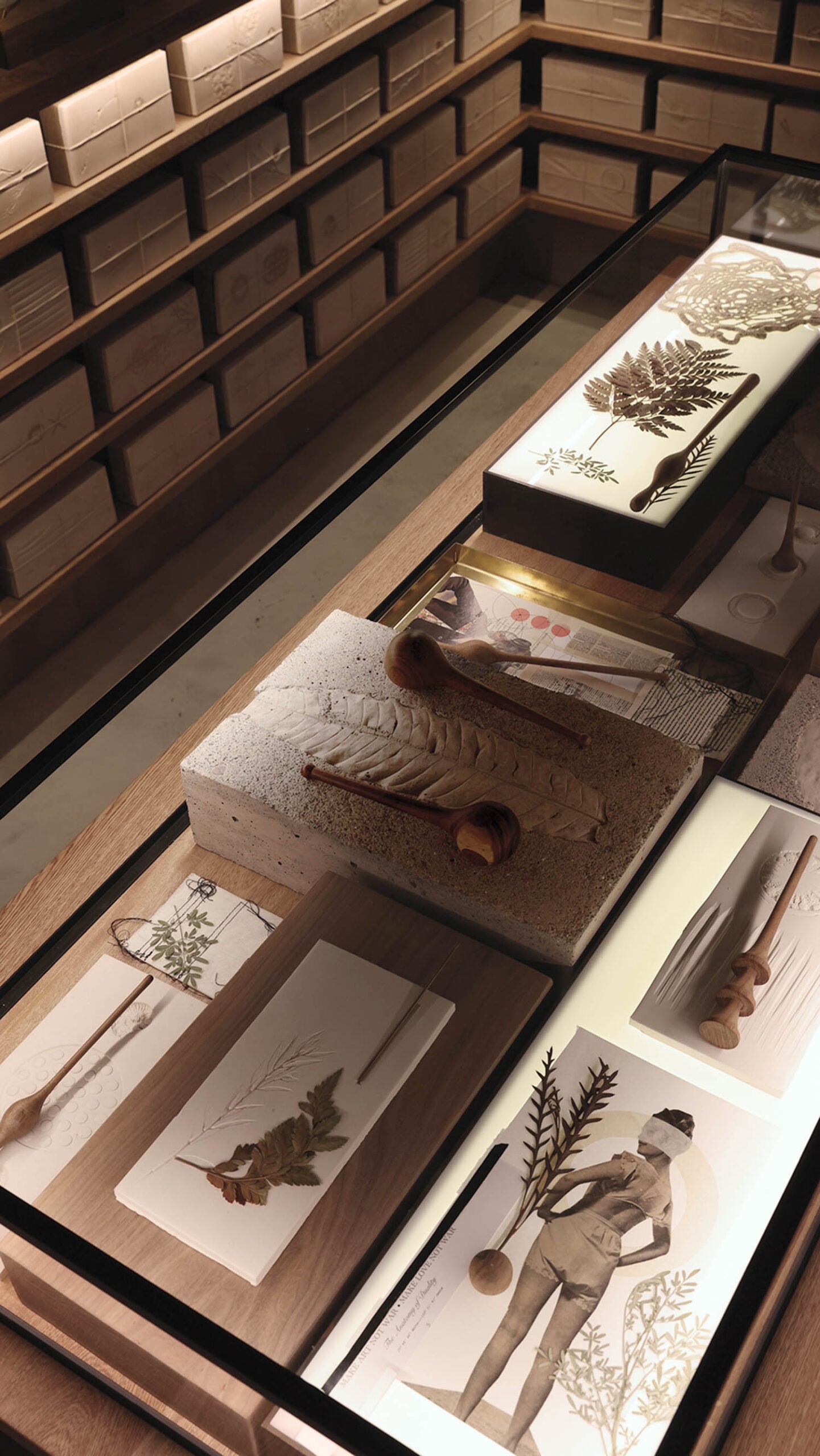 drawings on display in perfumery