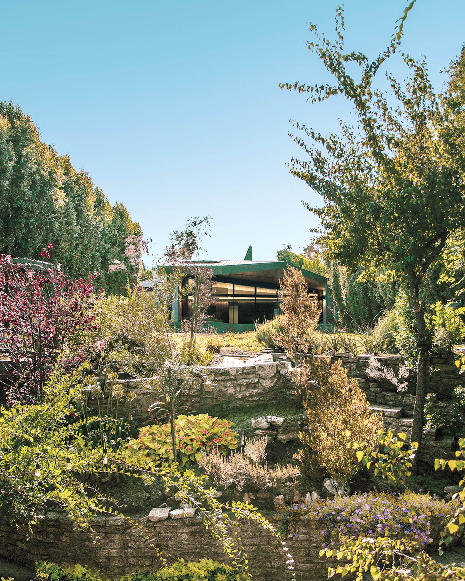 native grasses and flowers around ADU