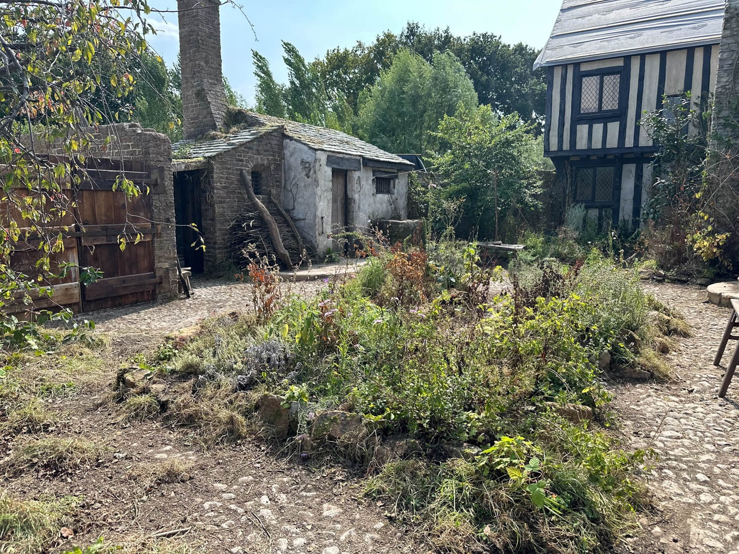backyard with lots of shrubbery and view of house