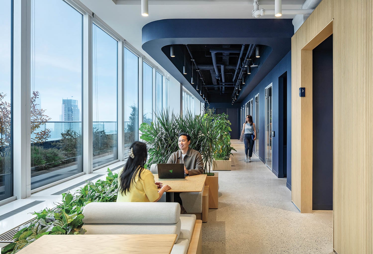 A modern office space with large windows, indoor plants, and blue accents