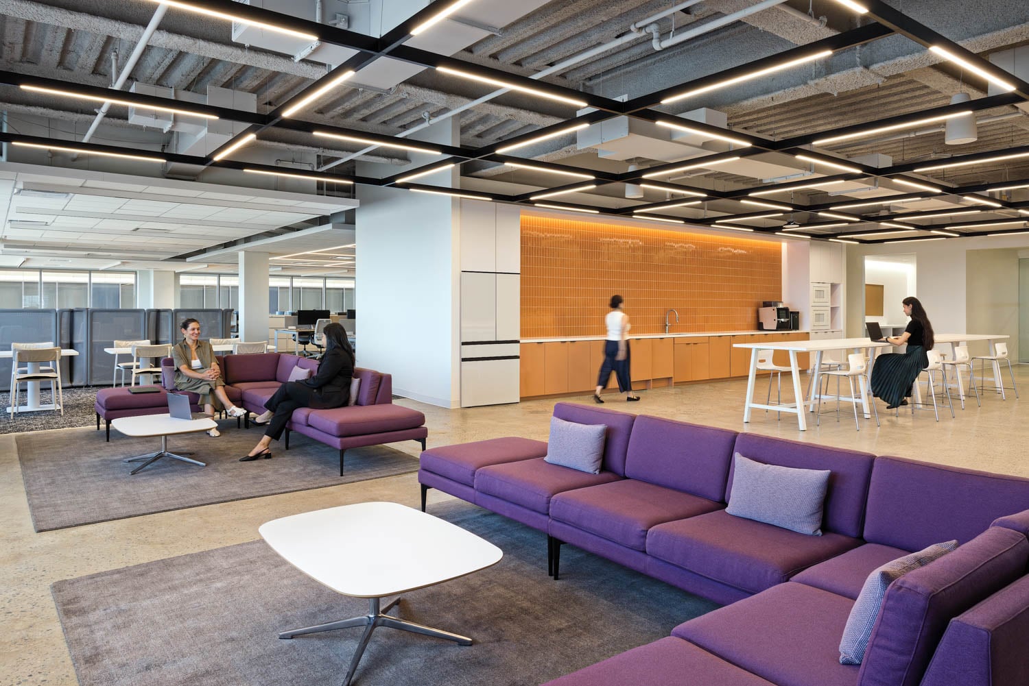 lounge area with purple couches
