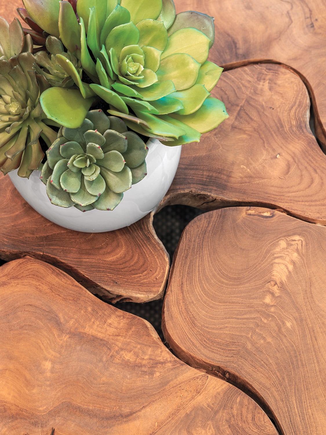 teak table with succulents