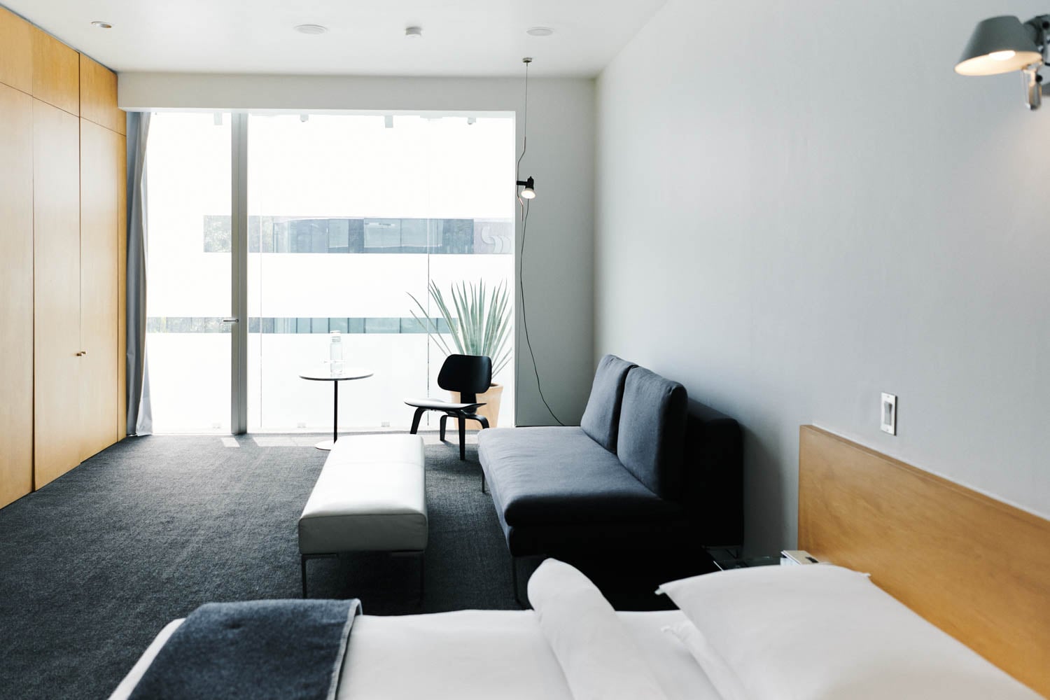 Minimalist hotel room with a bed, gray sofa, bench, chair, small round table, large windows, and a potted plant by the window.