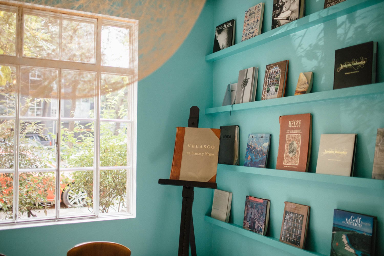 A turquoise-walled room with shelves displaying books and art albums beside a large window letting in natural light.