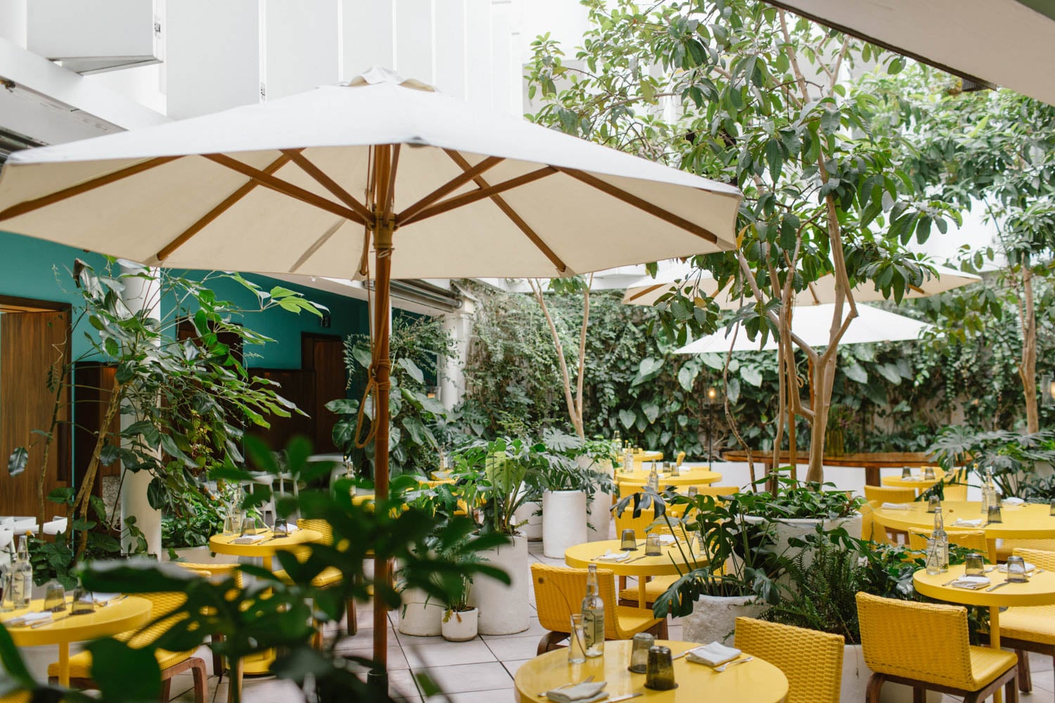 Outdoor restaurant patio with yellow tables and chairs, white umbrellas, and abundant green plants creating a lush, inviting atmosphere.