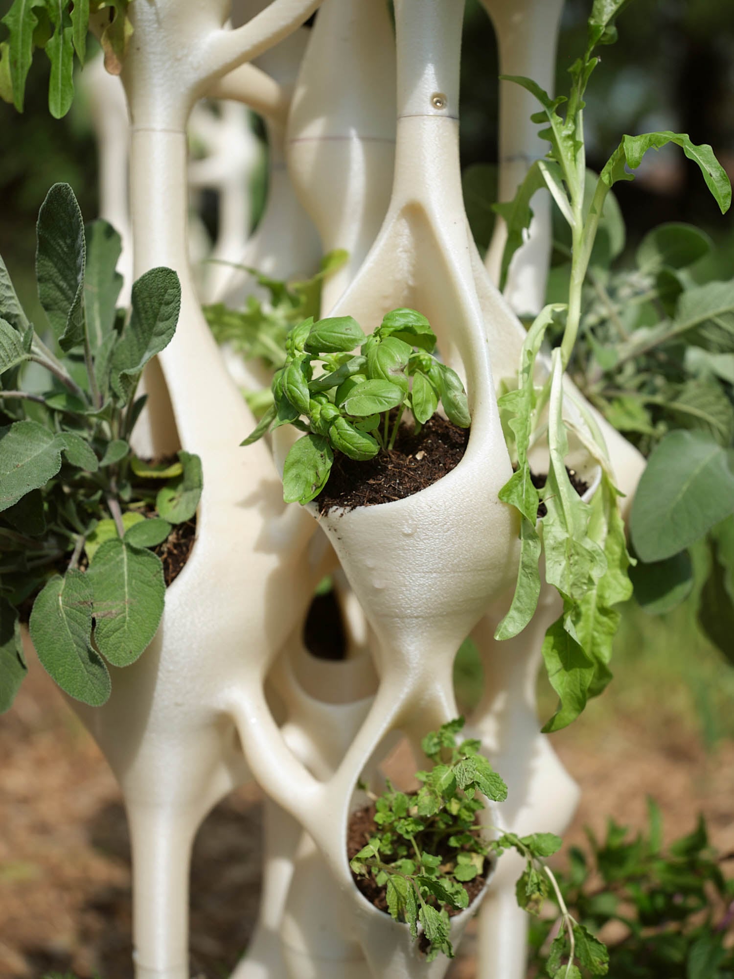 A close-up of a white modular vertical planter with pockets holding soil and growing herbs and leafy green plants outdoors.