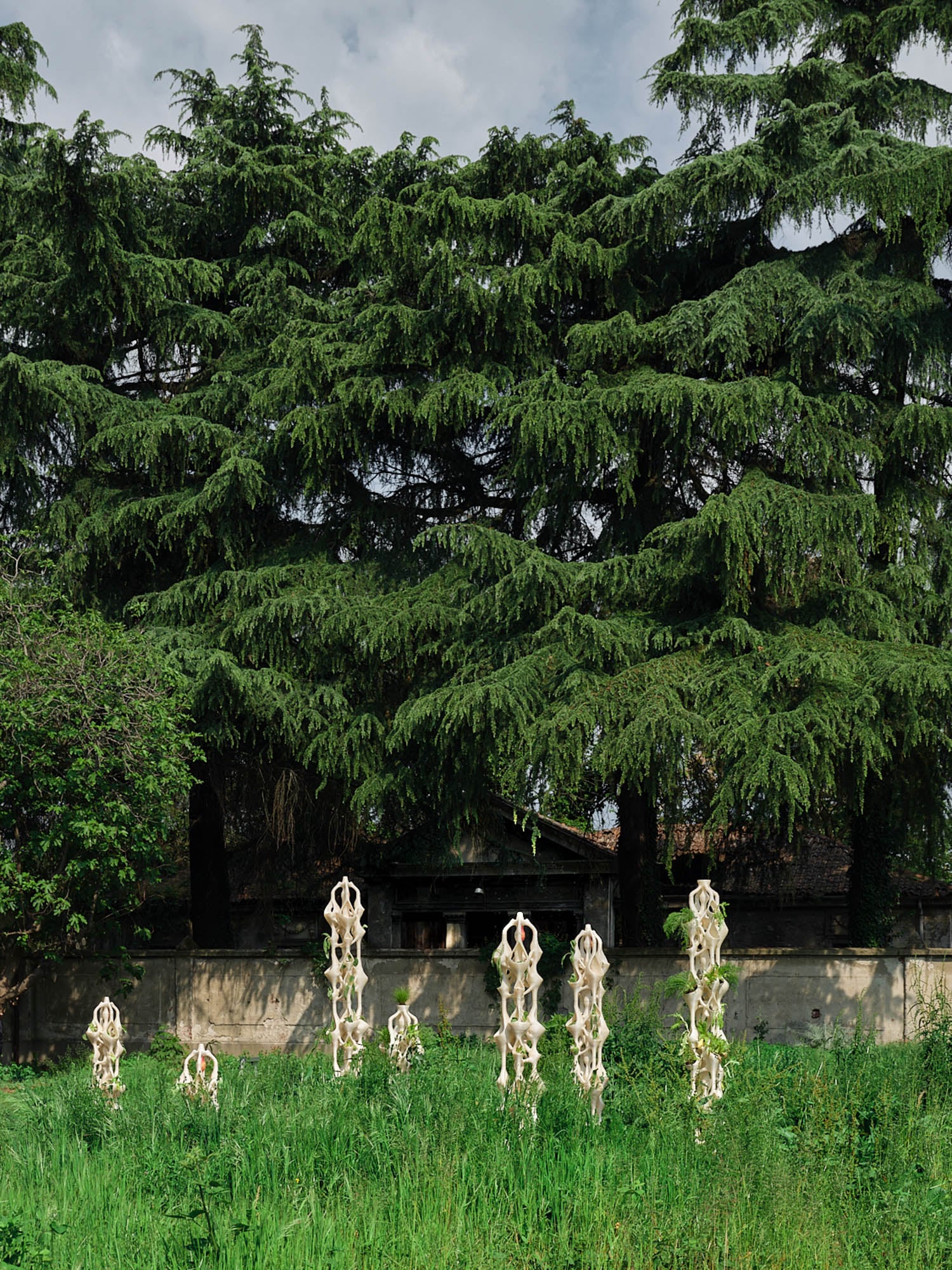 Several white, abstract sculptural forms stand upright in tall grass in front of large evergreen trees and a stone wall.