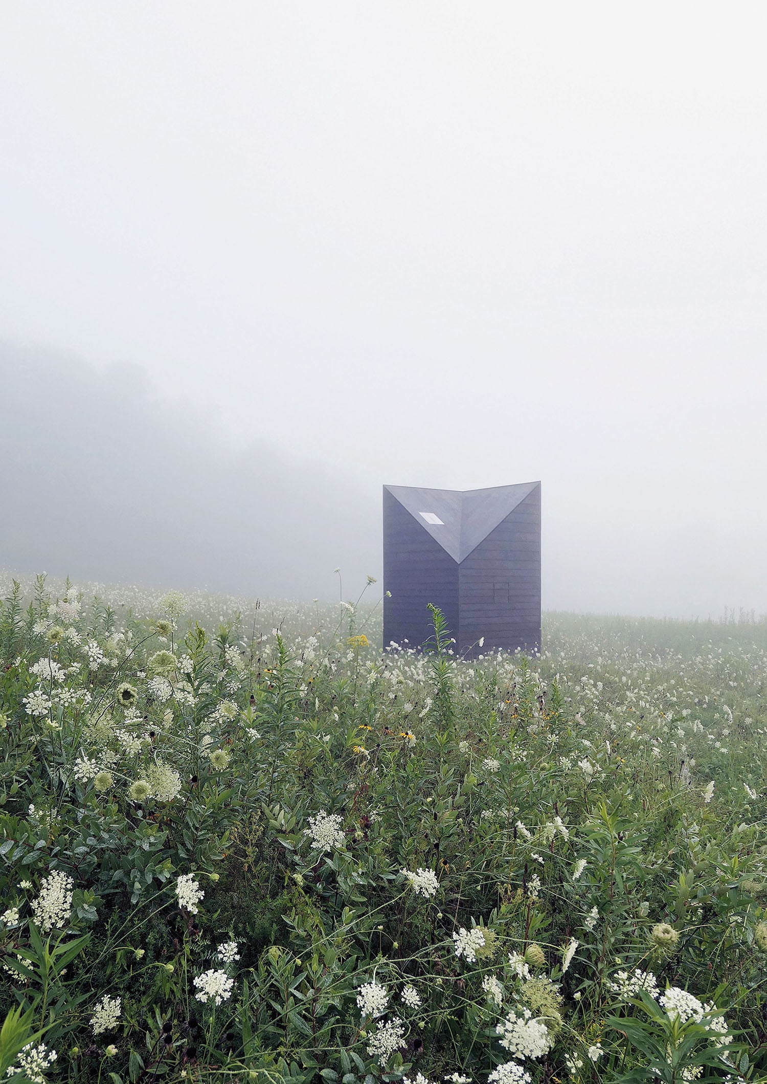 A small, dark, geometric structure stands in the middle of a wildflower field on a foggy day.
