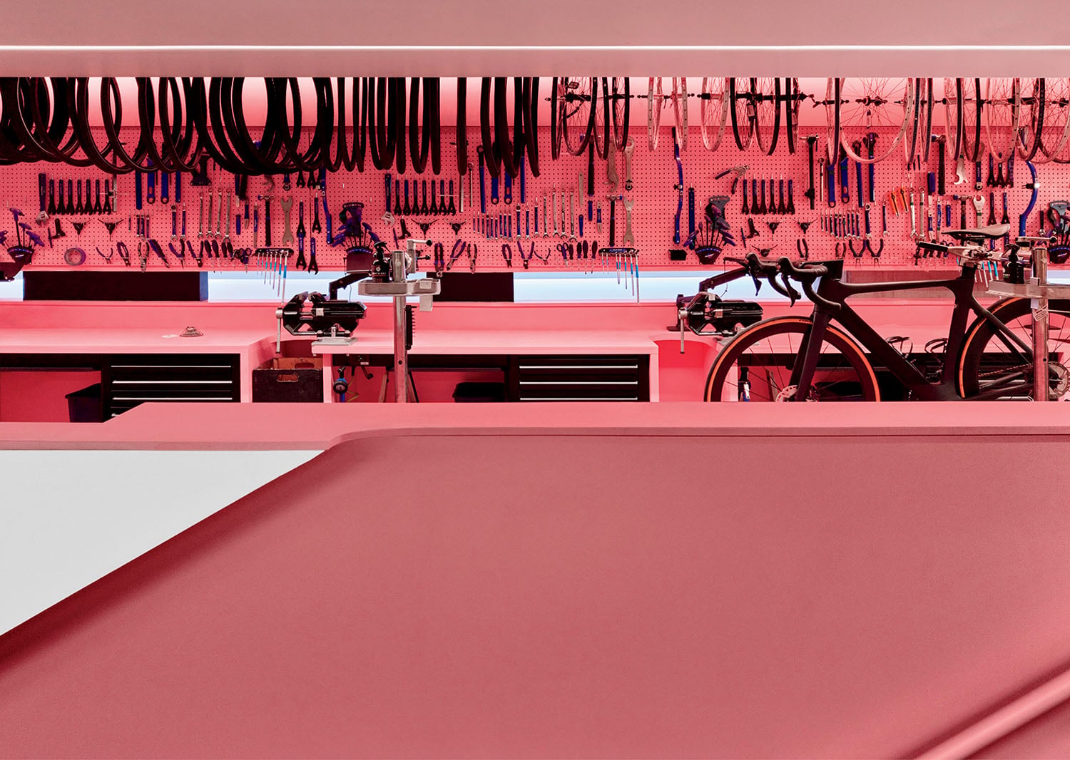 A modern bicycle workshop with pink walls, organized tools hanging on pegboards, and two bikes positioned at workstations.
