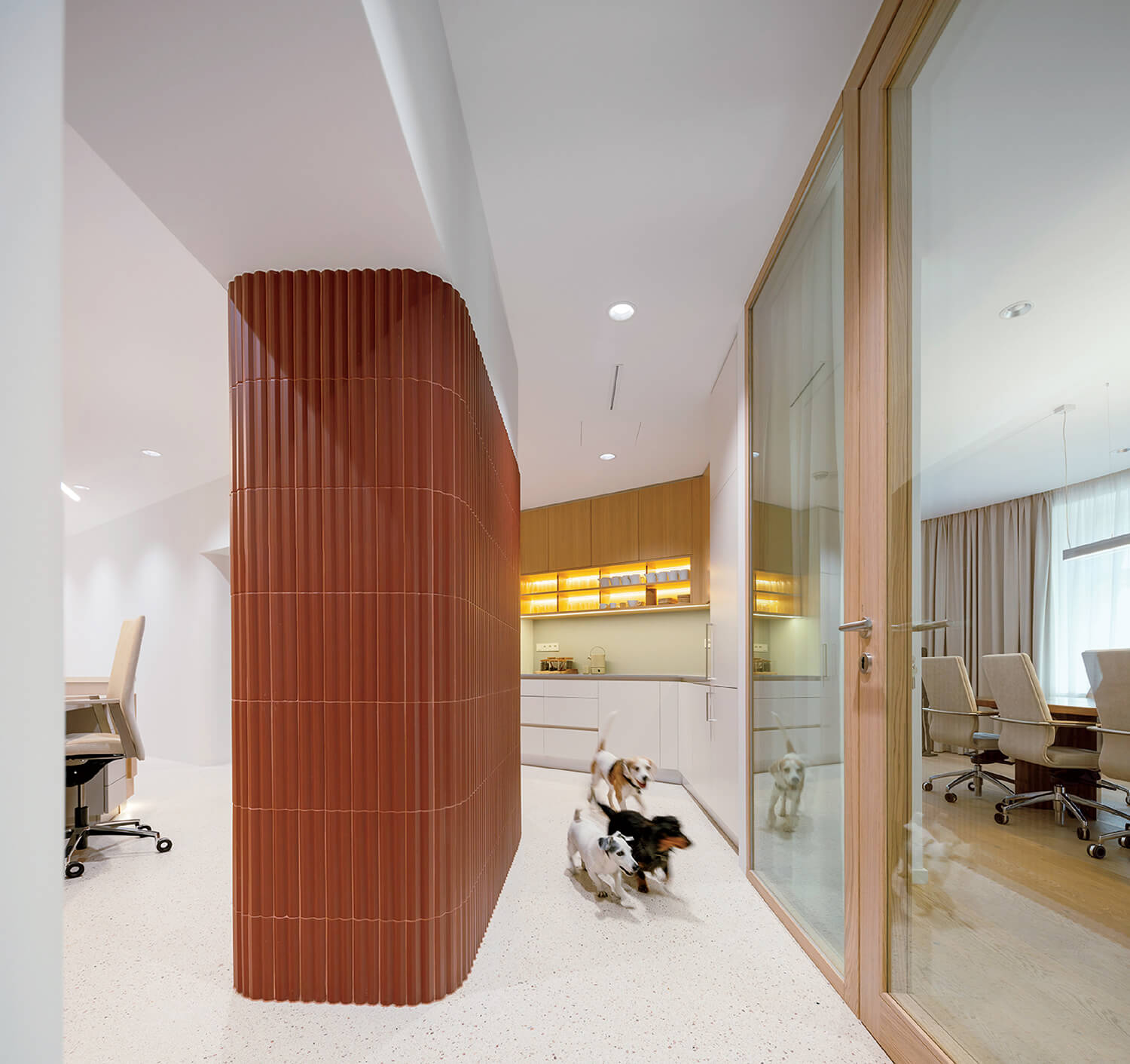 Two dogs play near a curved red-tiled wall in a modern office with glass-walled meeting rooms and built-in kitchen cabinets.