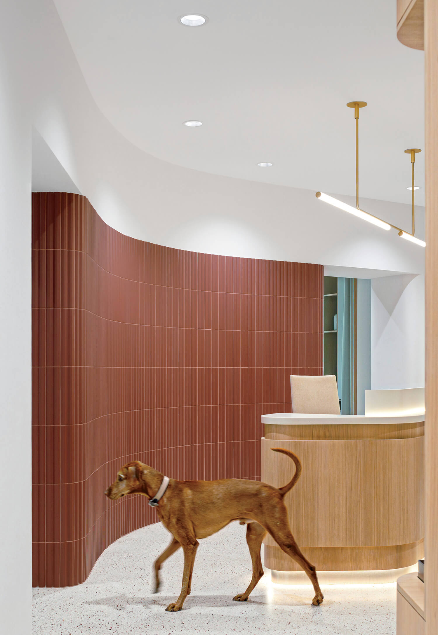 A brown dog walks in a modern lobby with curved terracotta wall tiles, a wooden reception desk, and minimalist lighting.