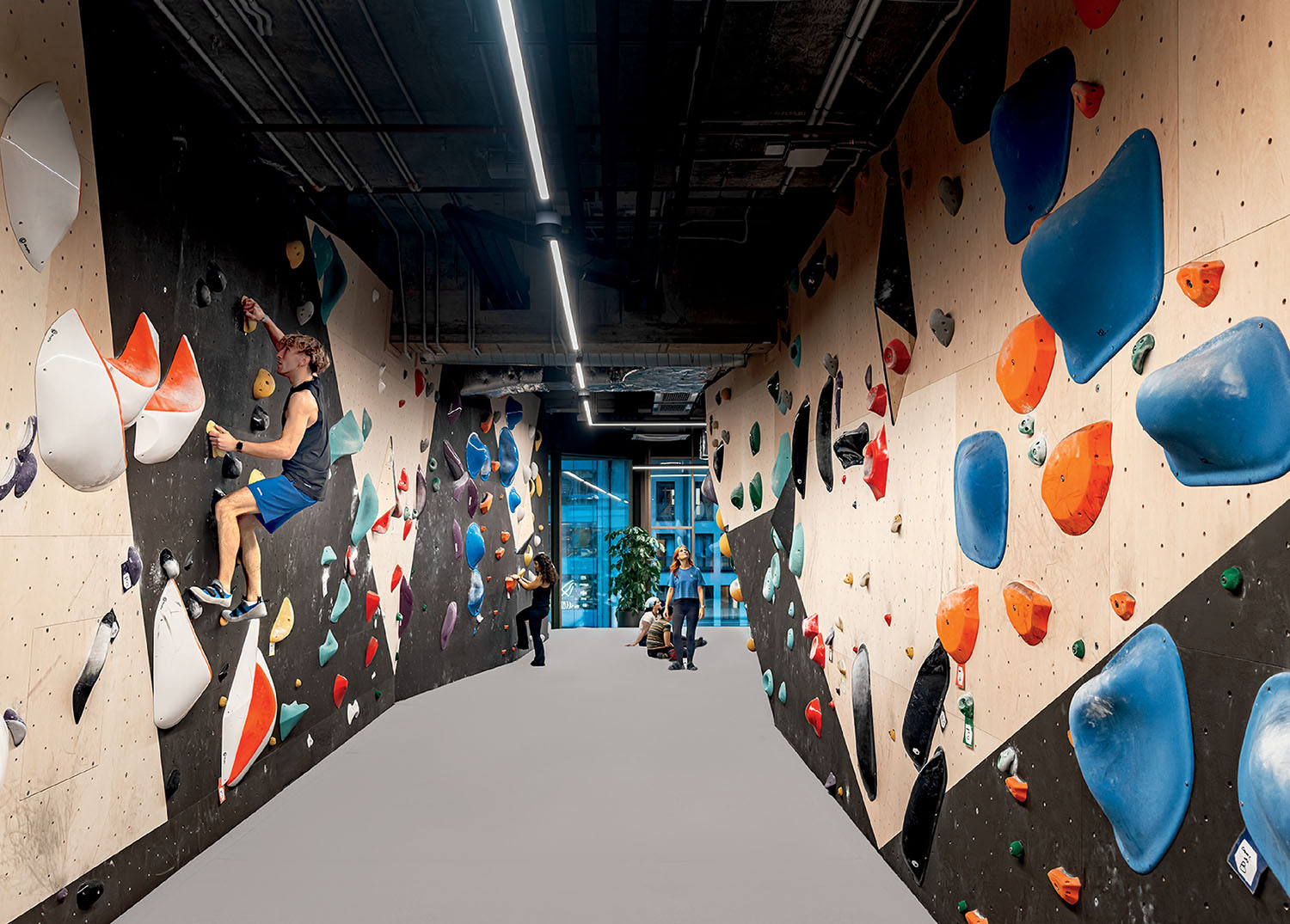 Indoor climbing gym with people bouldering on artificial walls covered in colorful climbing holds under bright overhead lighting.