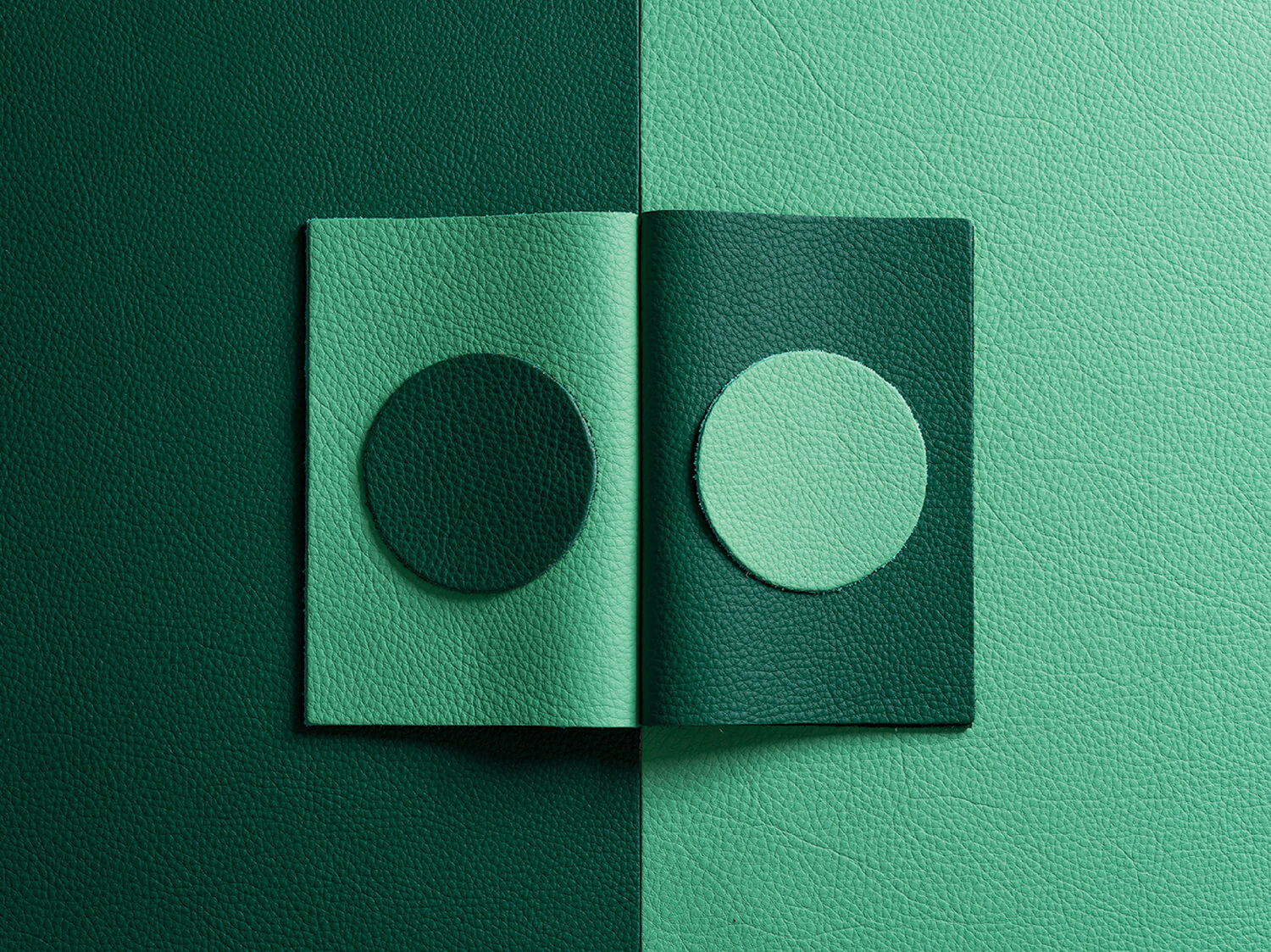 An open notebook with textured green pages and circles, each side featuring a contrasting shade of green, placed on a similarly textured green surface split down the middle.