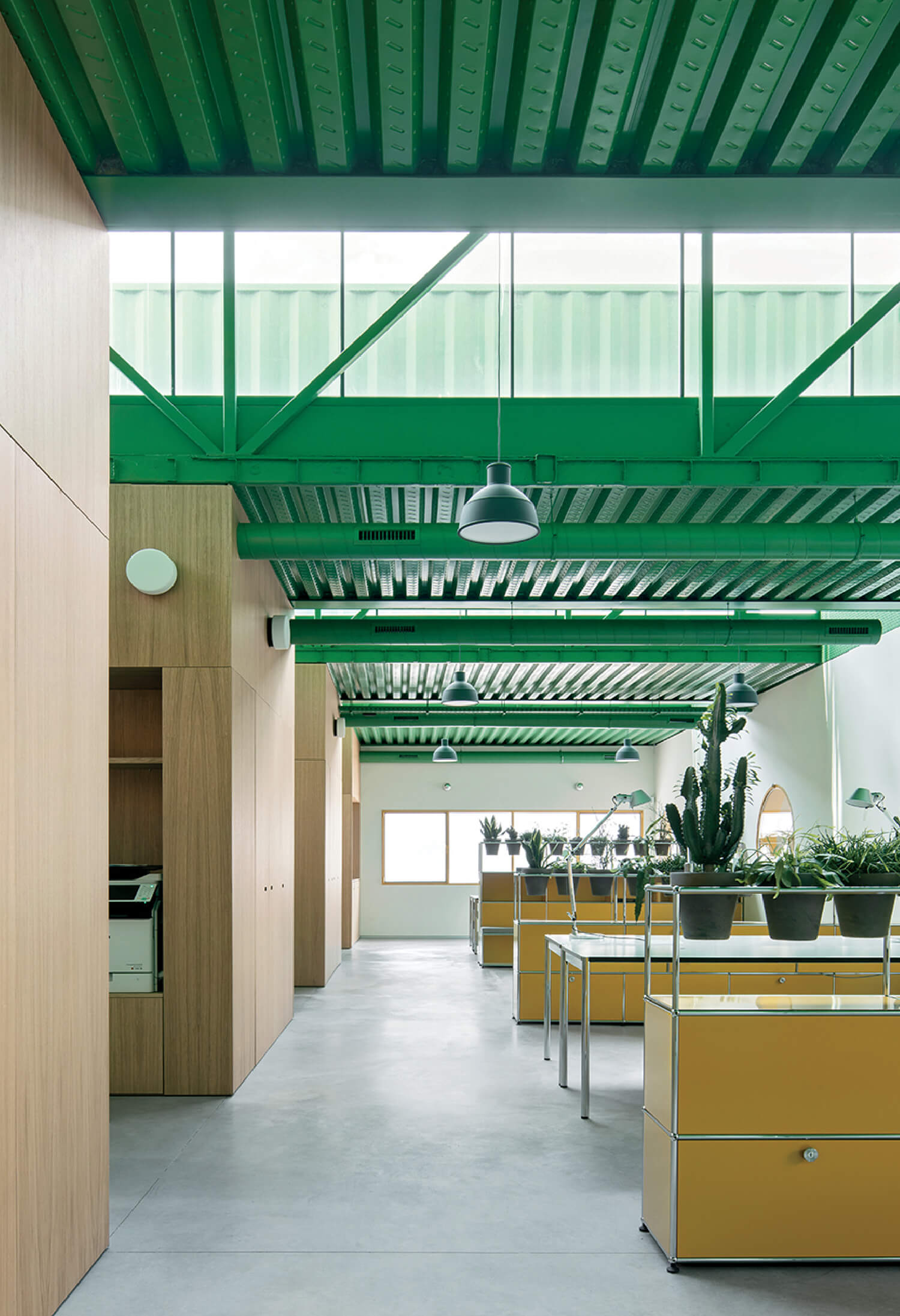 Modern office interior with yellow desks, potted plants, wooden partitions, concrete floor, and exposed green metal ceiling with industrial lighting.