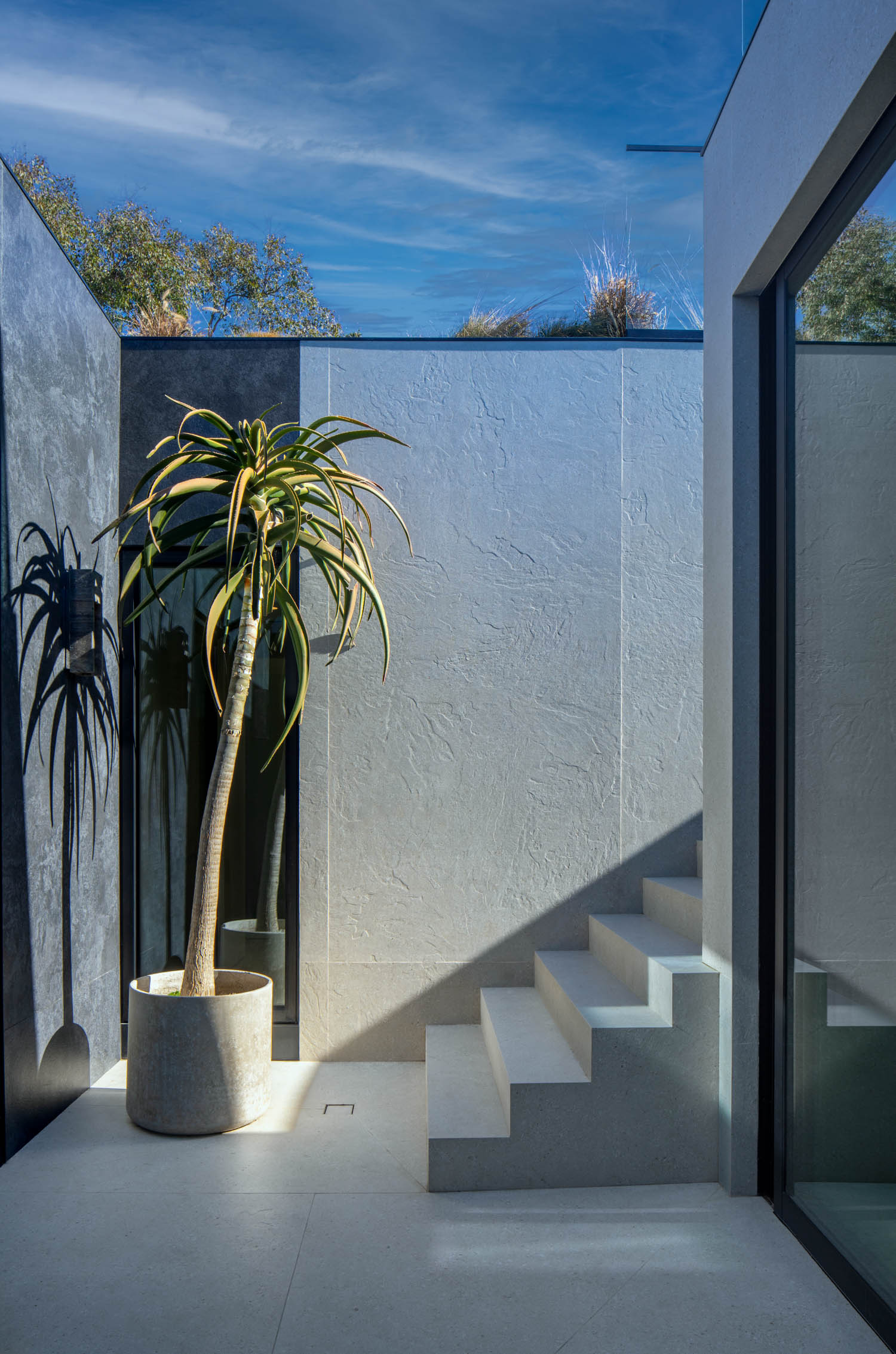 A potted tall plant sits by a textured concrete wall near white minimalist stairs in a sunlit modern outdoor space with a clear blue sky above.