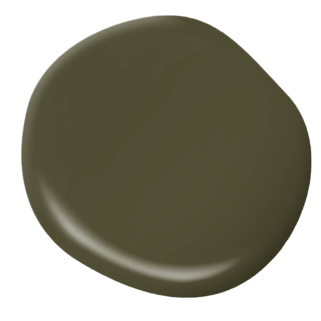A round, smooth swatch of dark olive green paint on a white background.