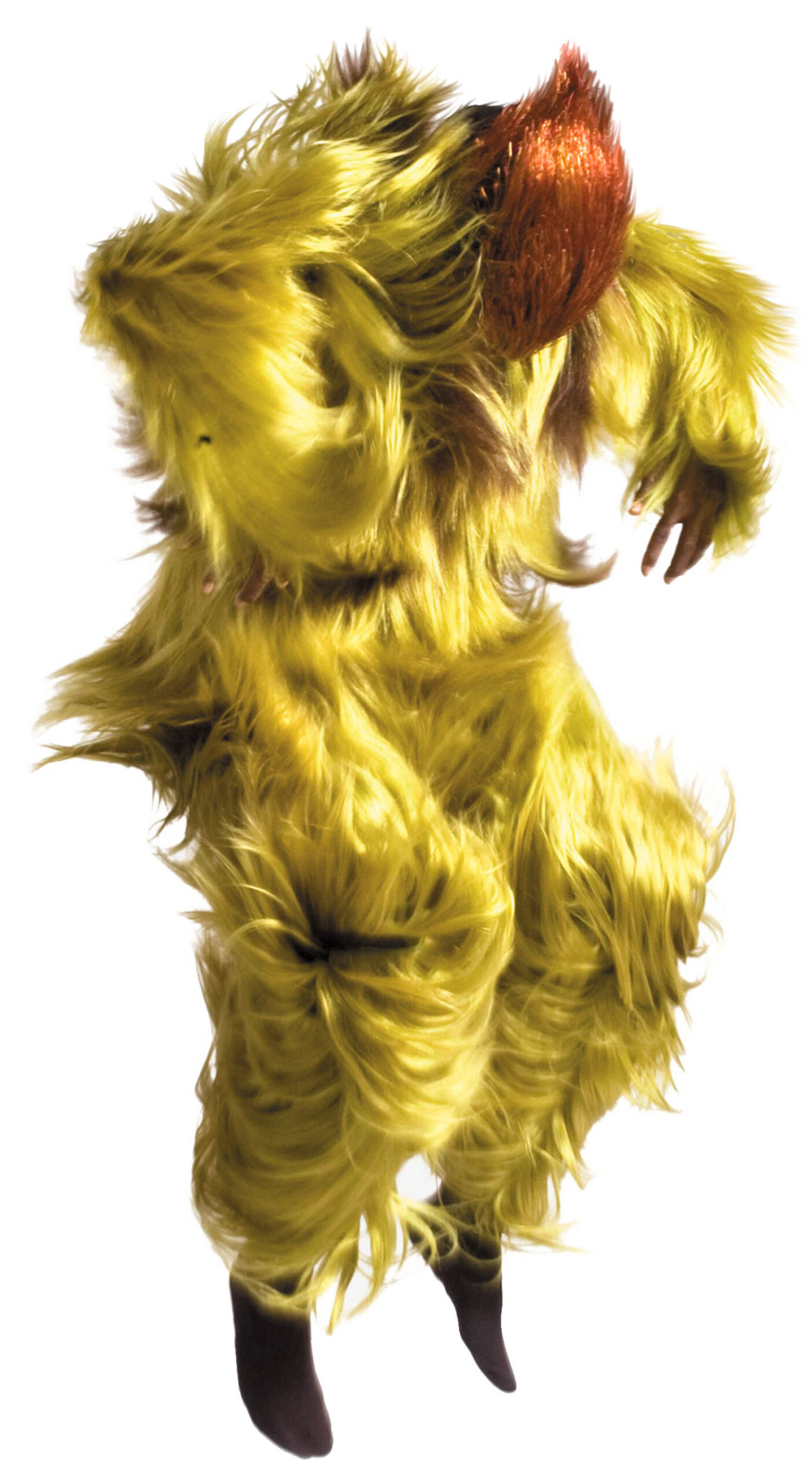 Person wearing a shaggy, bright yellow fur costume with an orange headpiece, arms bent and raised, standing against a white background.