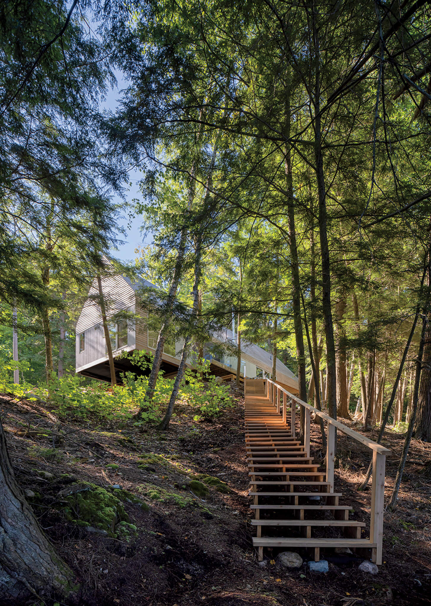 A modern elevated cabin with a slanted roof stands among tall trees, accessed by a long wooden staircase on a forested hillside.