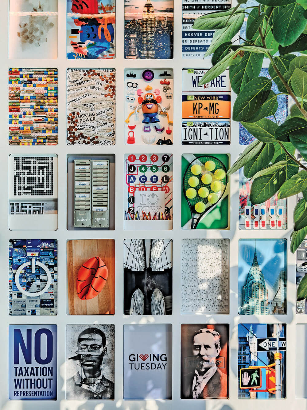 A grid of colorful postcards with various designs and themes is arranged on a white wall; green leaves partially cover the upper right corner.