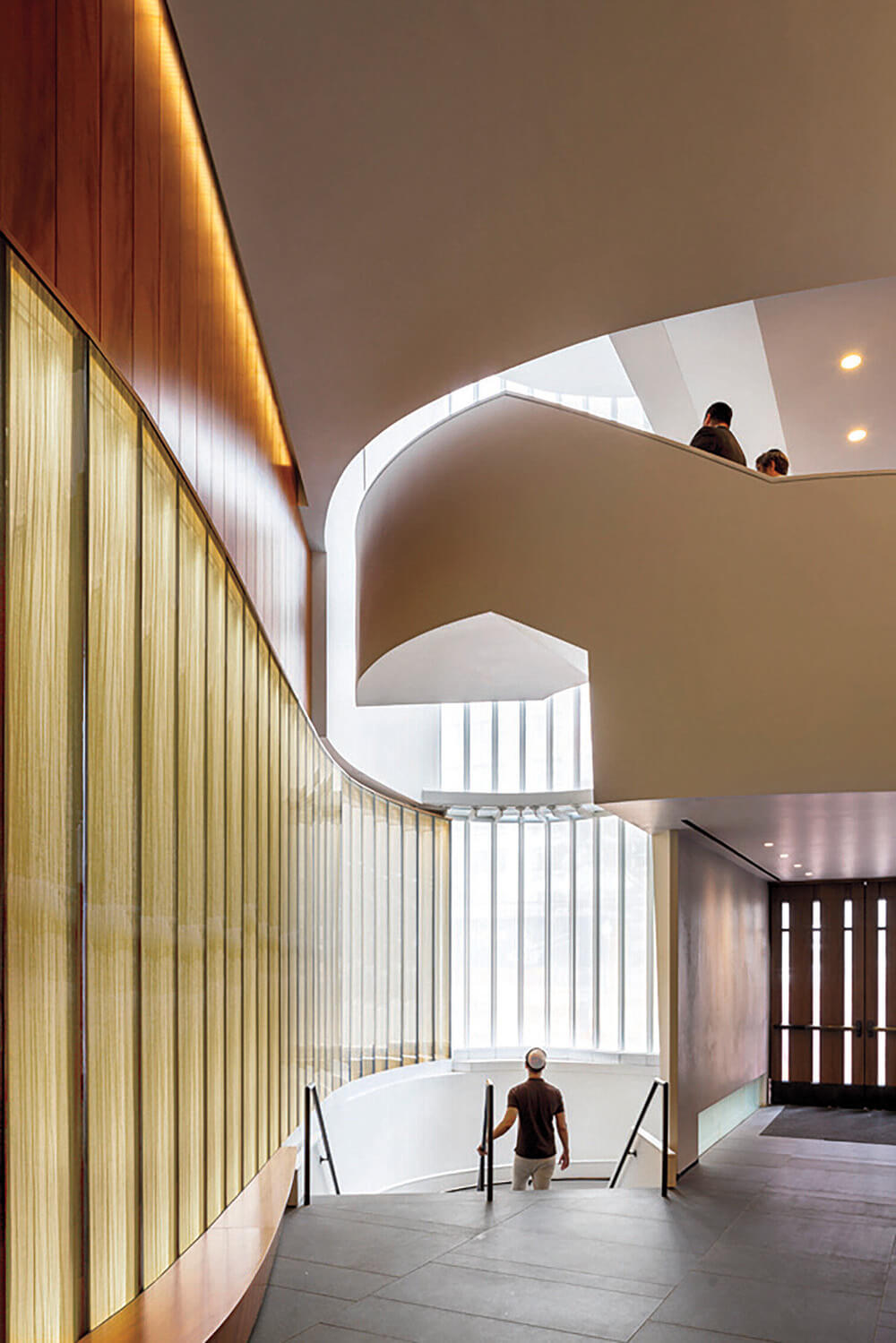 A person walks down stairs in a modern building with curved walls, glass railing, wood paneling, and natural light from large windows.
